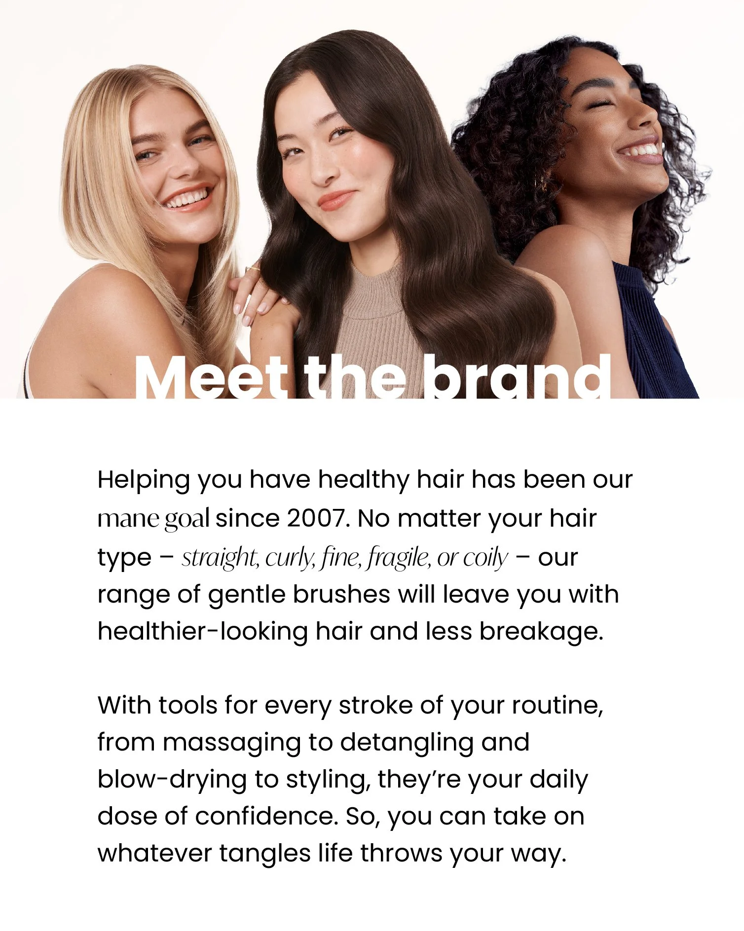 Amazon Brand Page, Info Panel