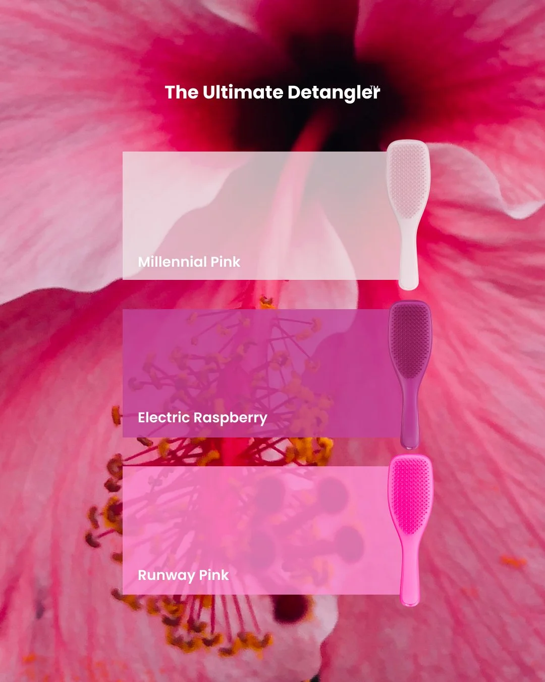 An social post for The Ultimate Detangler hairbrush with a pink floral background, featuring three hairbrushes in descending shades of pink: Millennial Pink, Electric Raspberry, and Runway Pink.