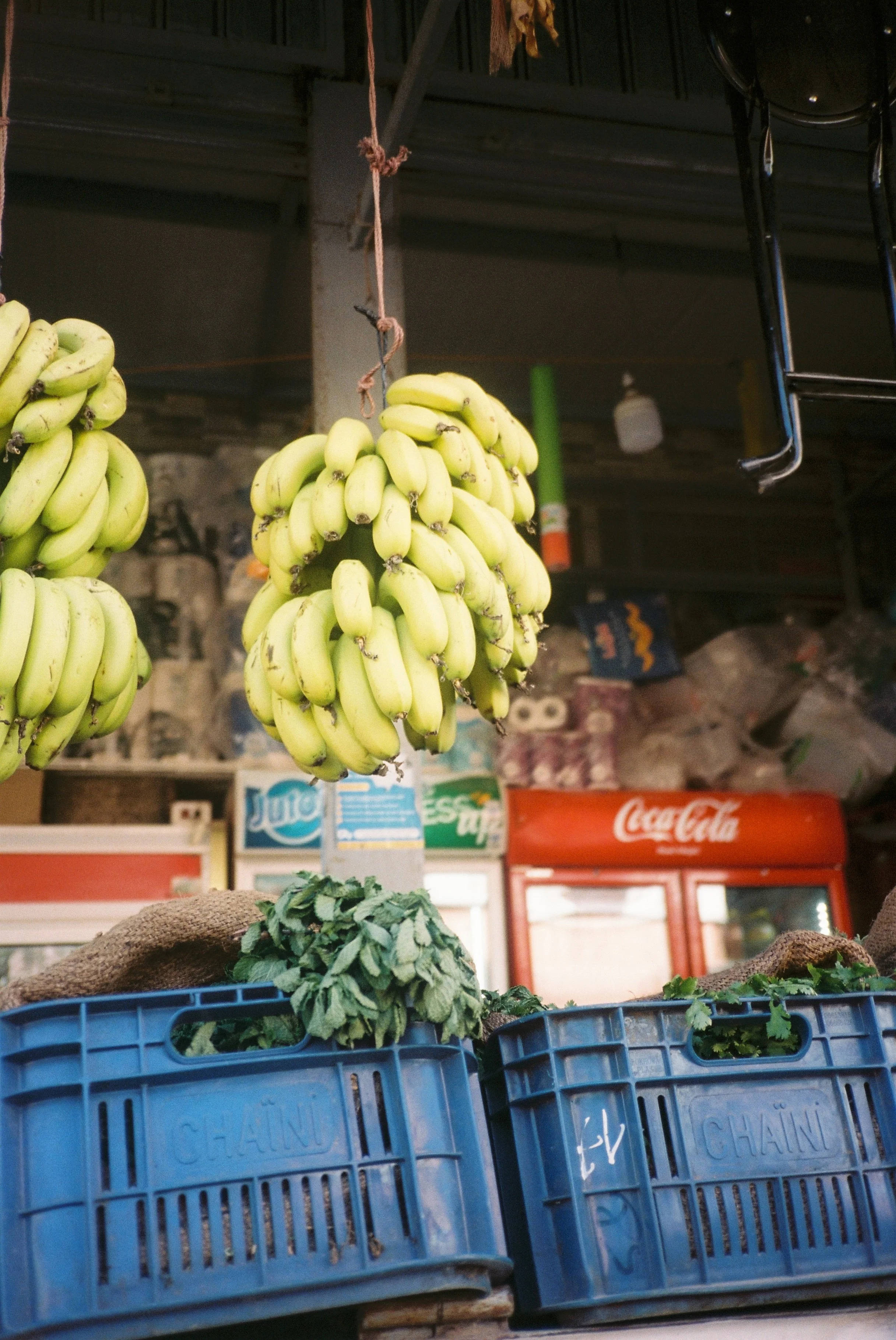 Bunches of bananas hanging from hooks in a market stall, with blue crates filled with leafy greens below.
