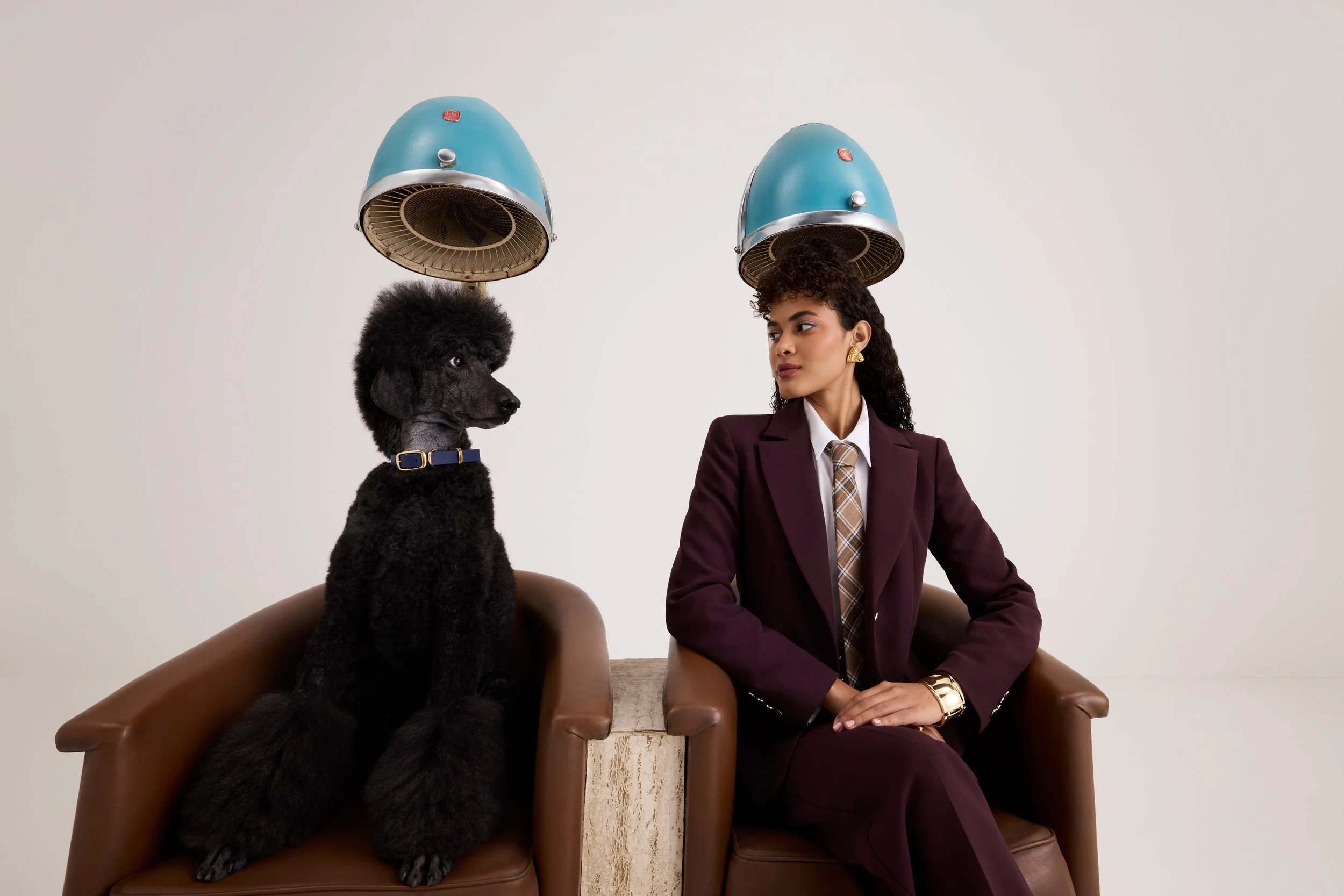 A woman sitting on a brown leather chair with a black poodle. Both have blue hair dryers over their heads. The woman is dressed in a purple blazer, white shirt, and patterned tie, with gold earrings and bracelet. The background is plain white.