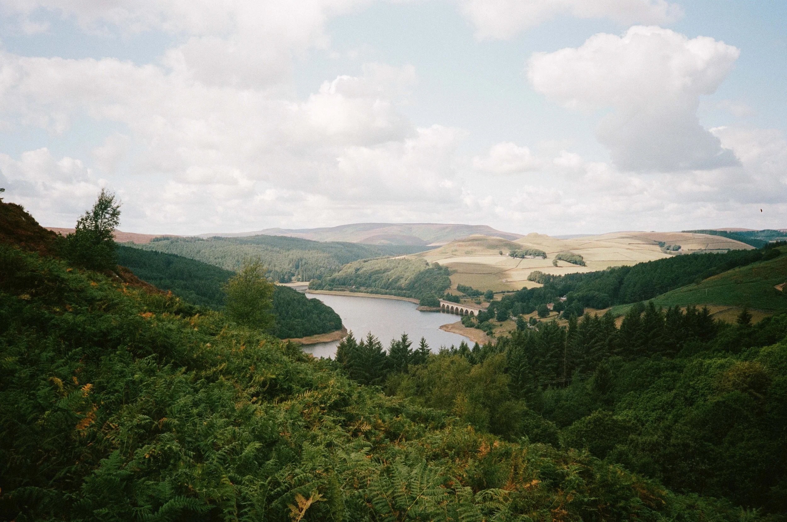 EXP_Bamford Edge_0826_arinderizzio00003.jpg