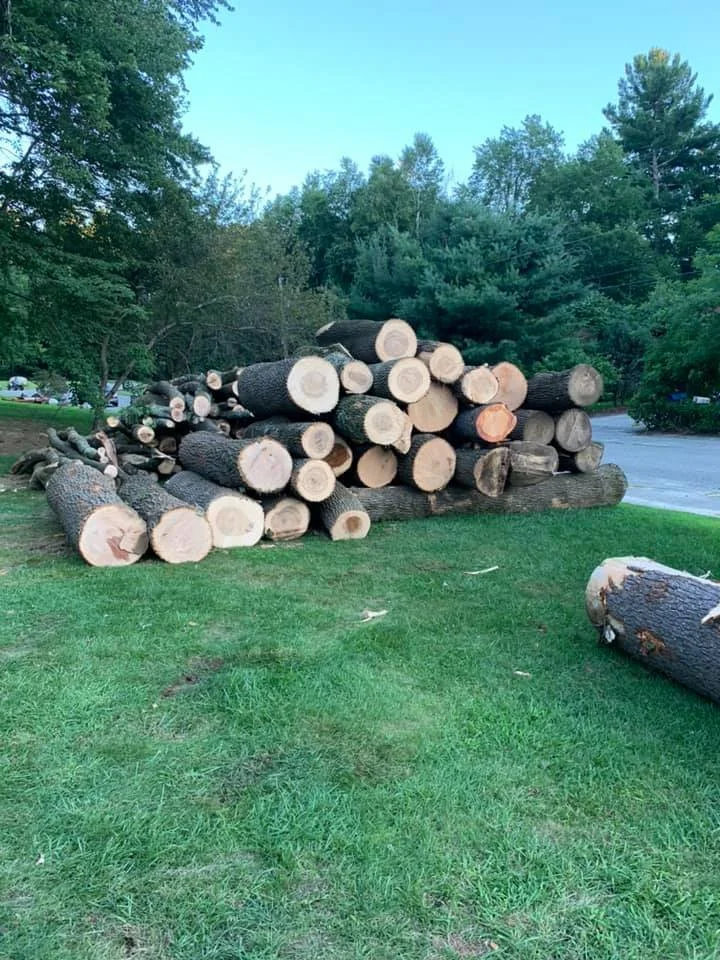 Unsplit Seasoned Hardwood Rounds (1 Truck Load)