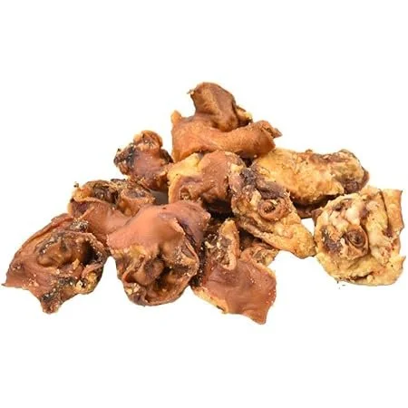 Inner pig ear.jpg