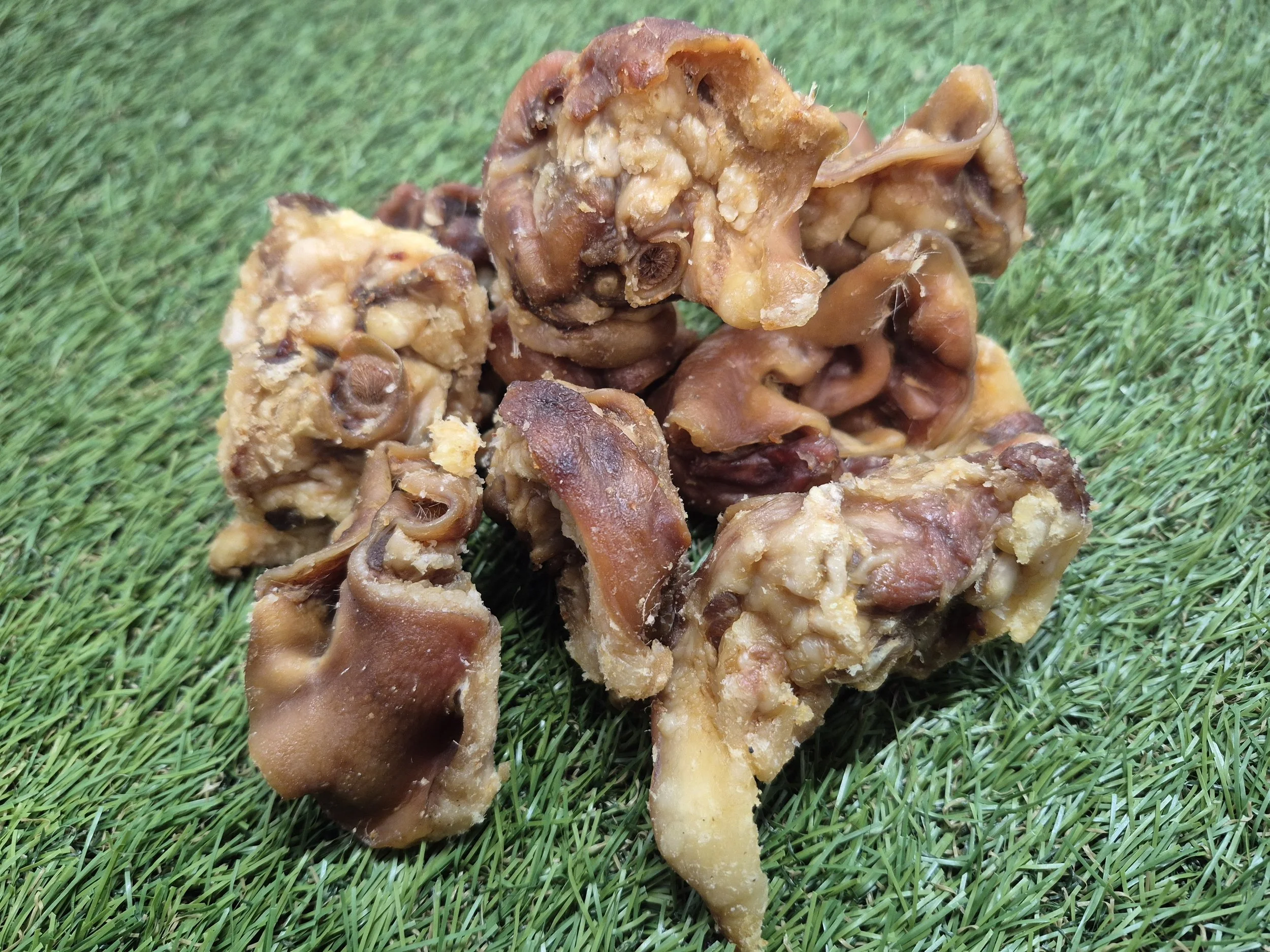 iNNER eAR1.jpg