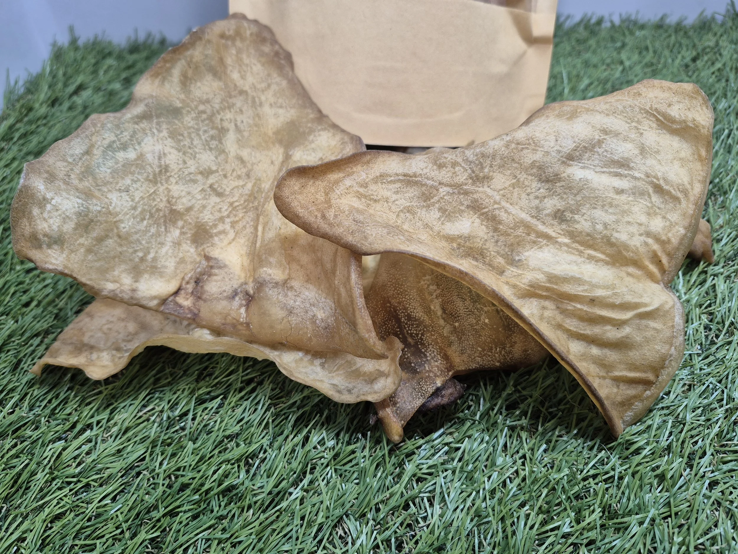 COW ears1.jpg