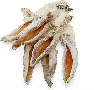 Rabbit Ears with Fur
