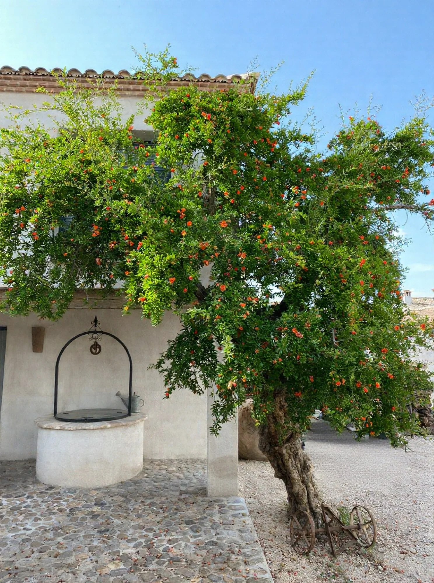 patio-granado-centenario-casa-rural-toledo