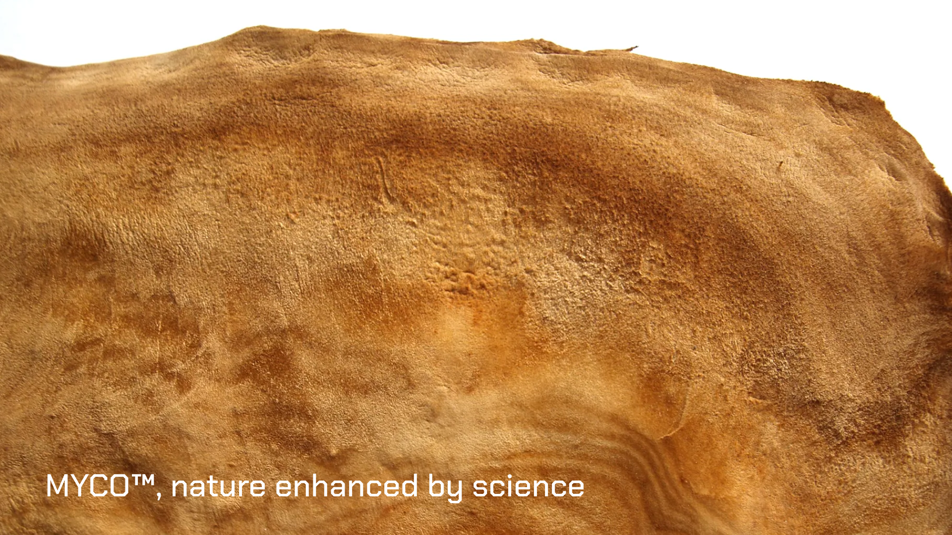 nature enhanced by science.png