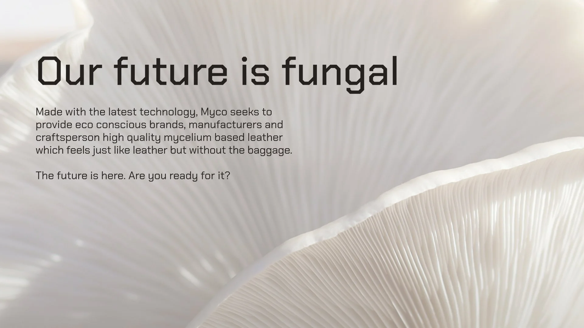 Presentation Page 44.jpg