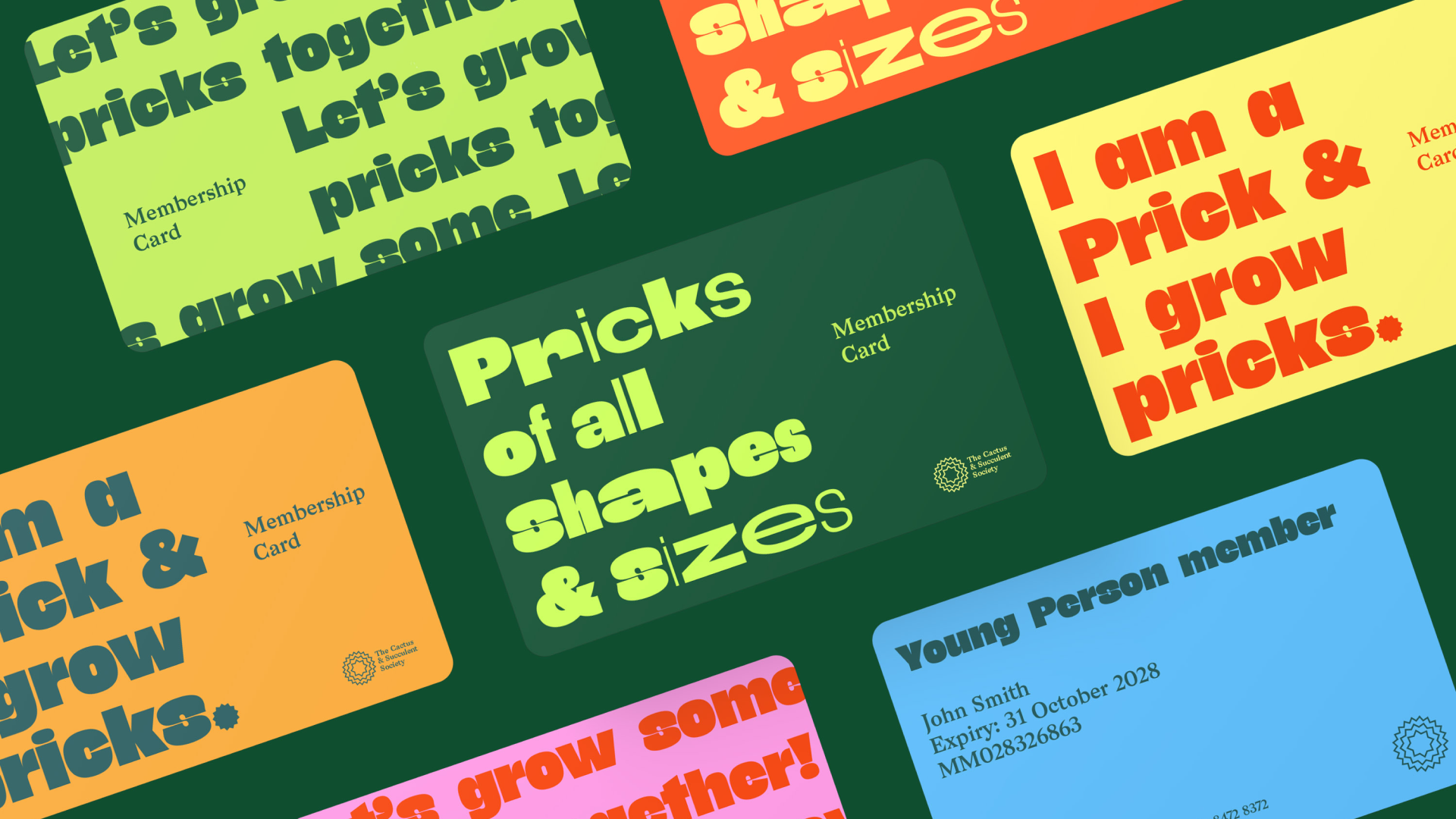 The Cactus & Succulent Society