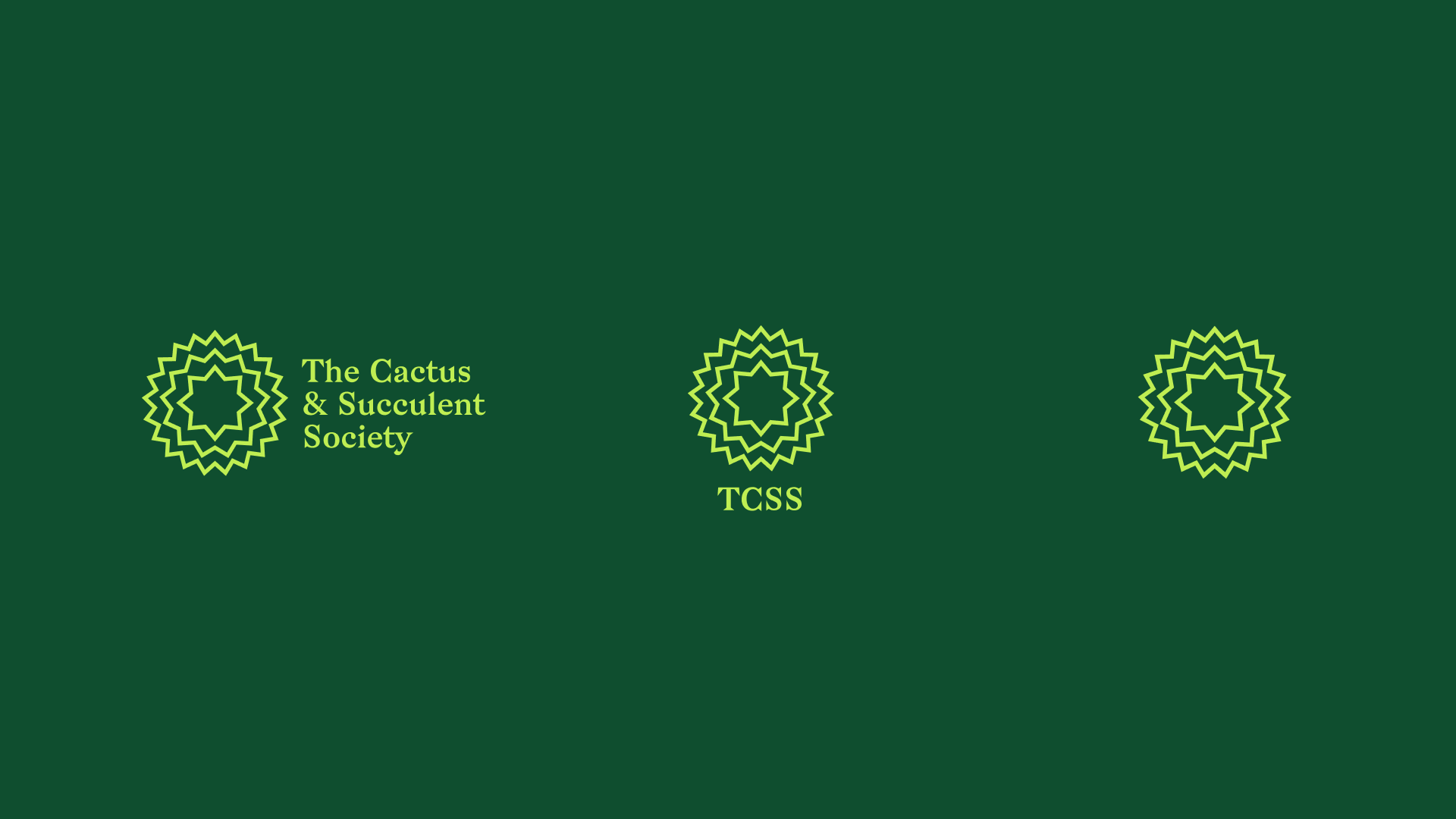 Cactus - 34.png
