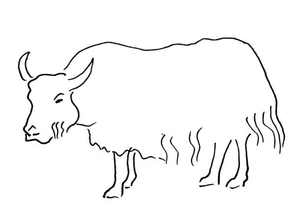 Piirros lehmästä, jonka kehon ääriviivat on piirretty mustalla viivalla.