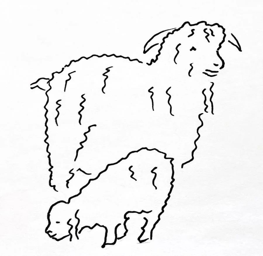 Piirros kahdesta angoravuohesta.