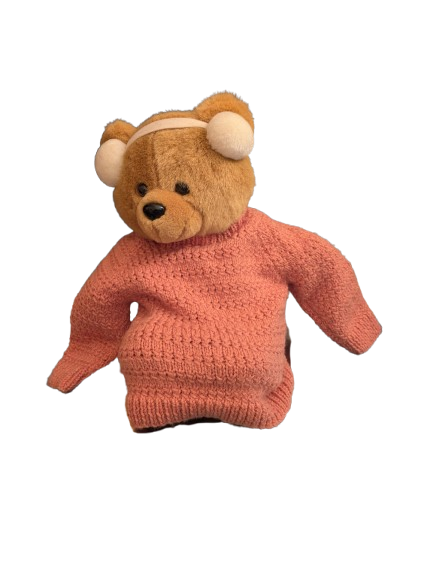 Brown Childrens Jumper
