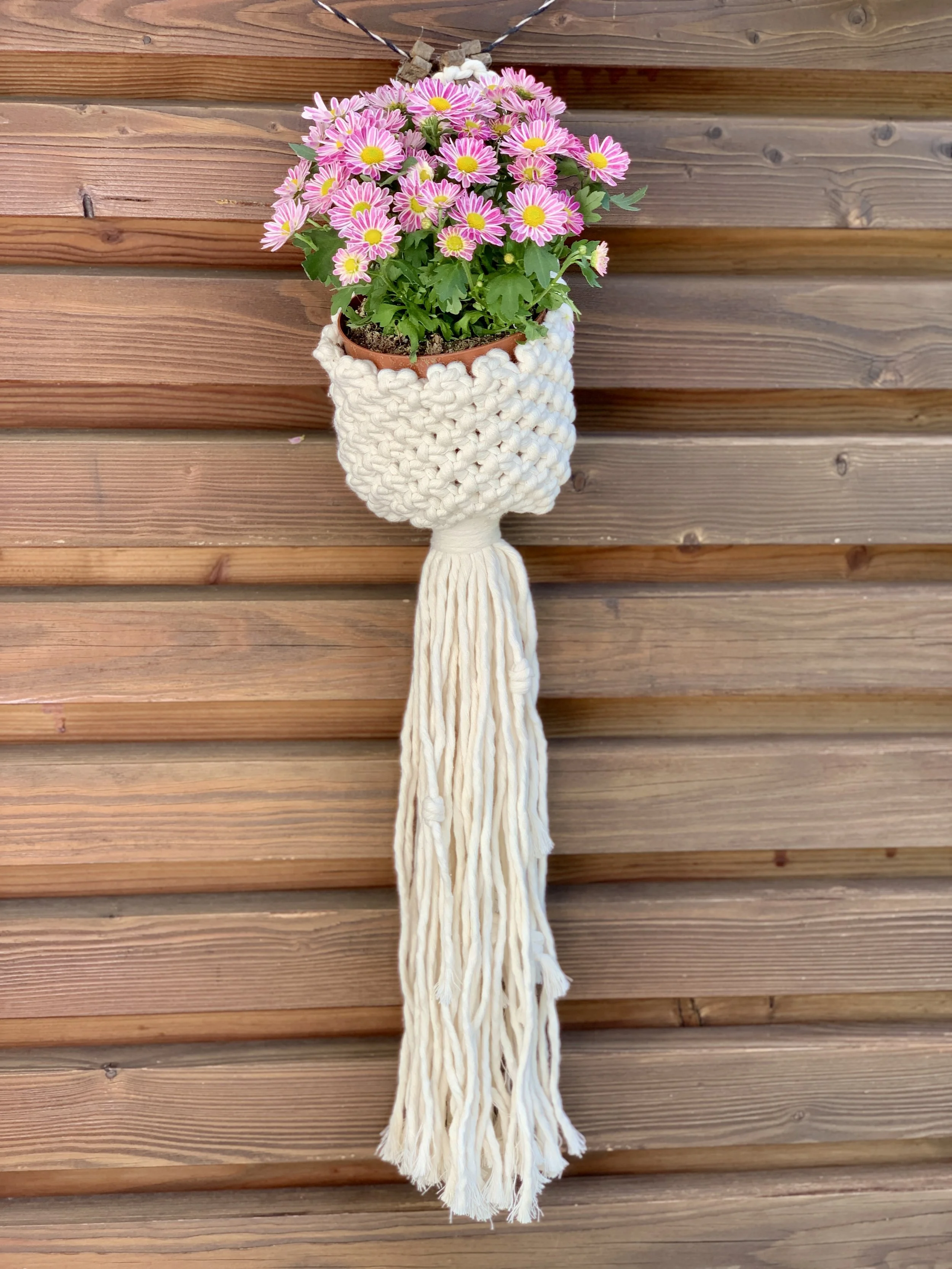 Blumenampel 