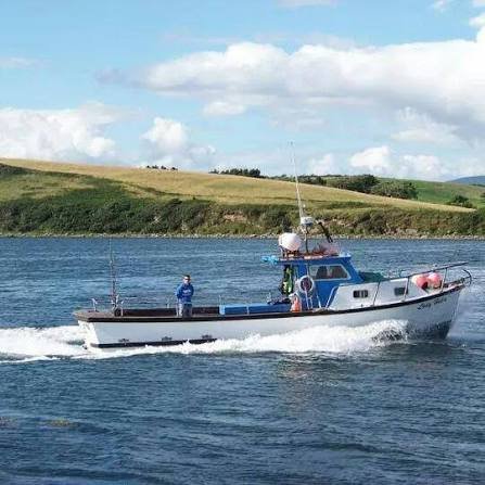 Go fishing on Clew Bay