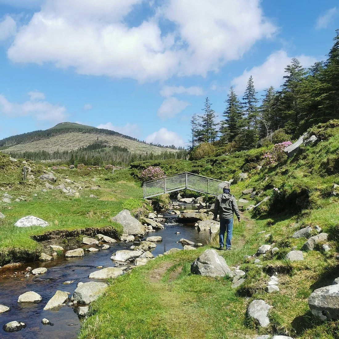 Hike at Wild Nephin National Park