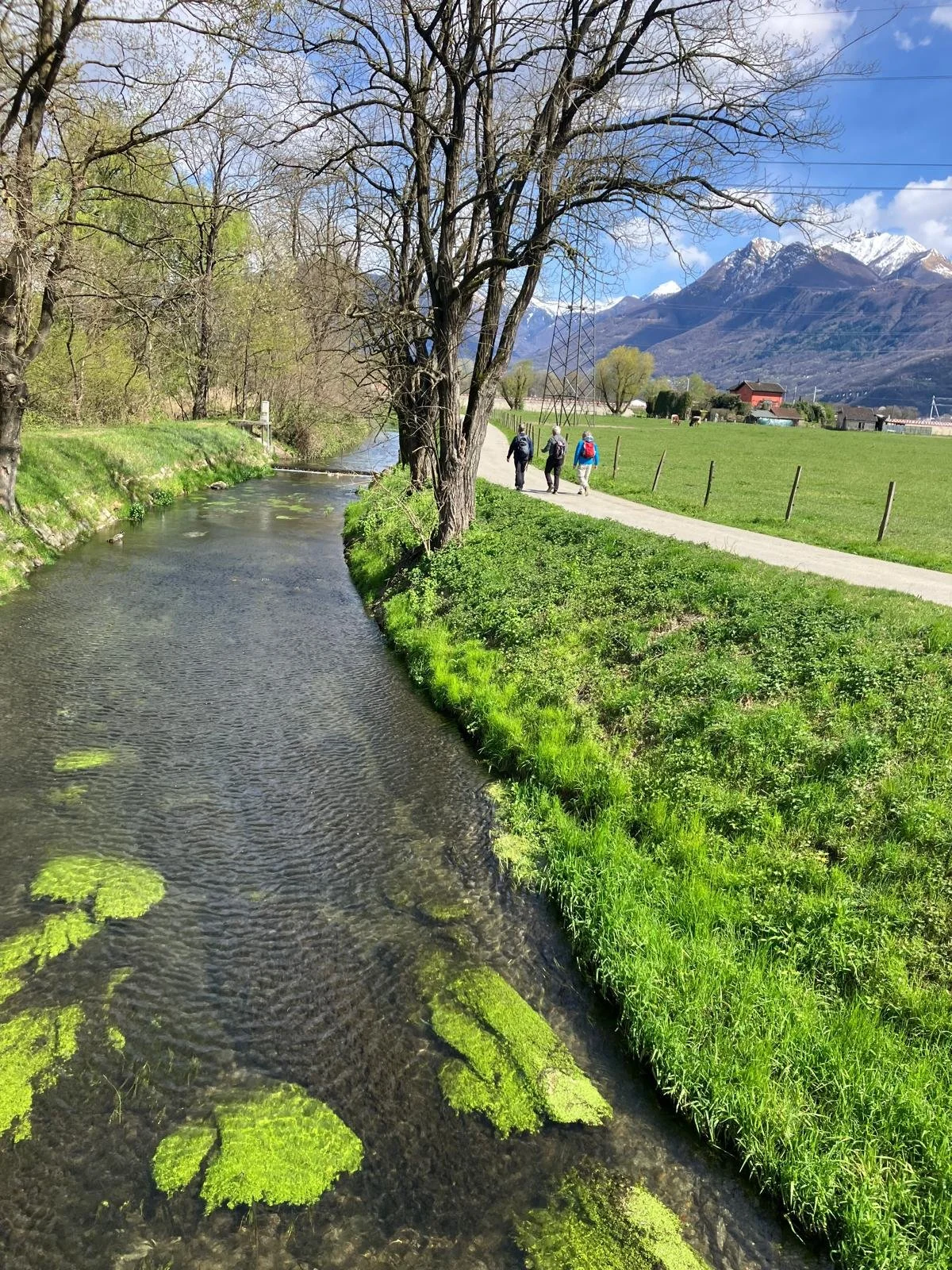 WhatsApp Image 2026-04-07 at 17.49.57 (4).jpeg