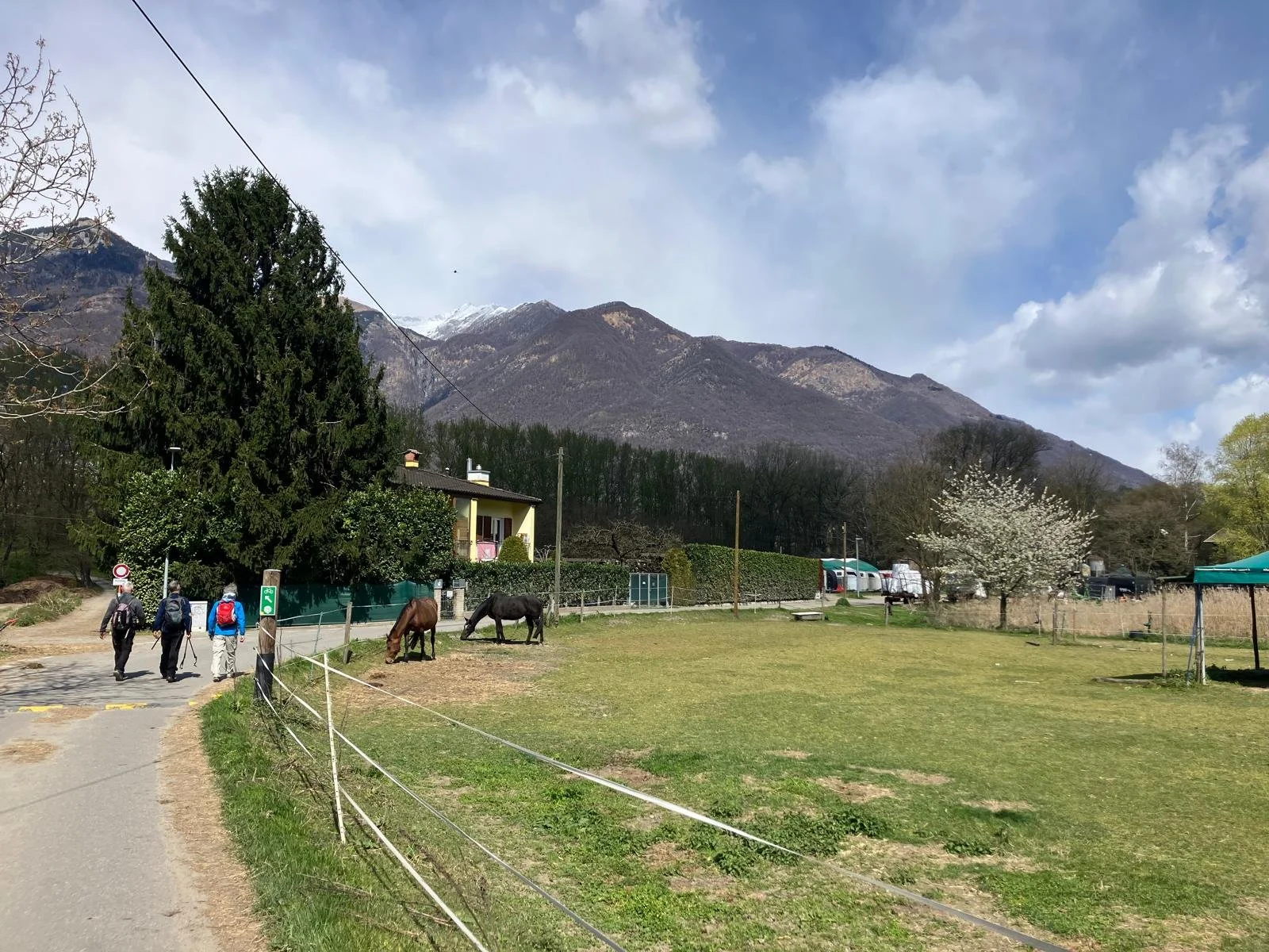 WhatsApp Image 2026-04-07 at 17.49.57 (3).jpeg