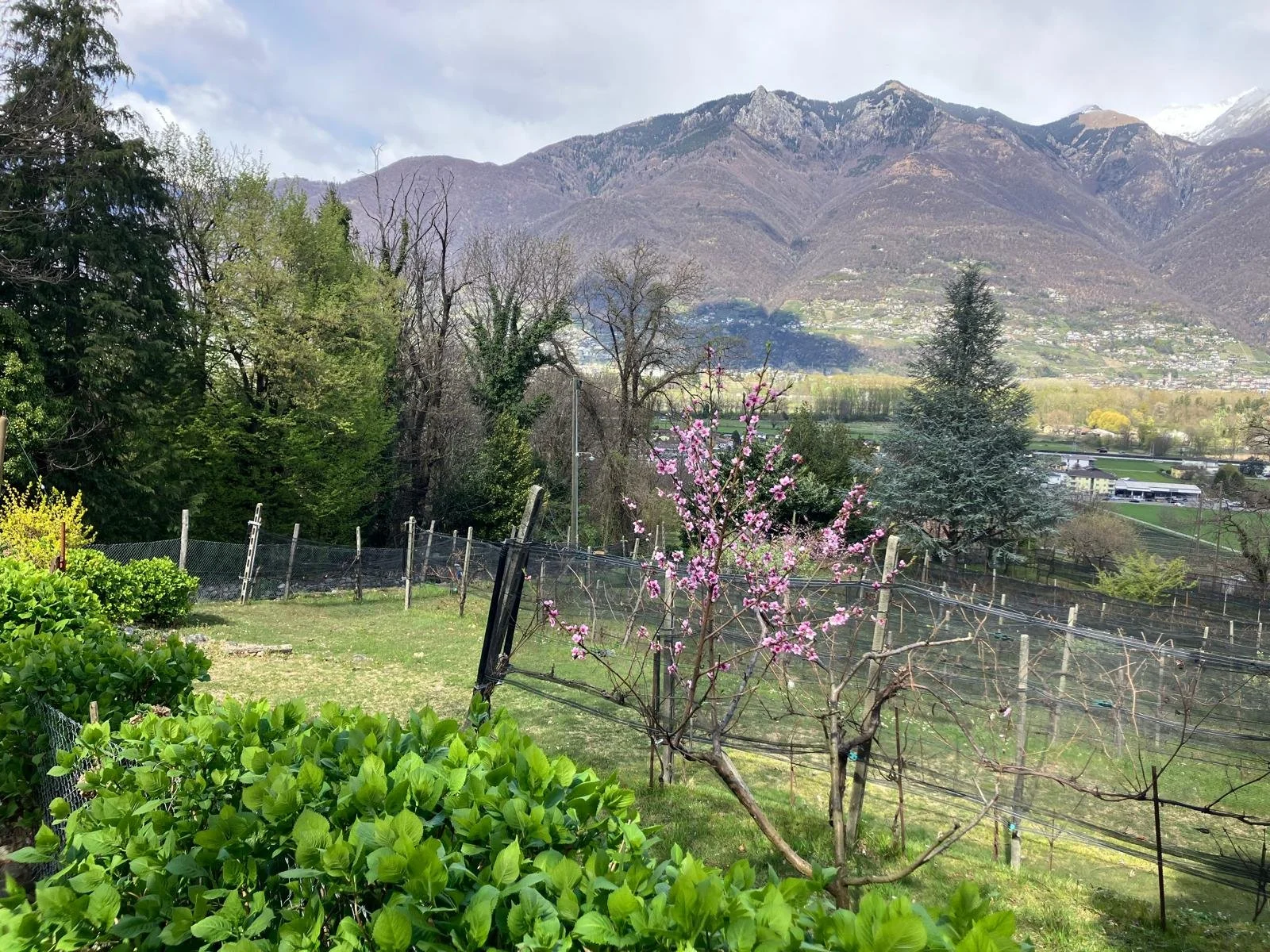 Dal Monte Ceneri a Quartino, 45 minuti