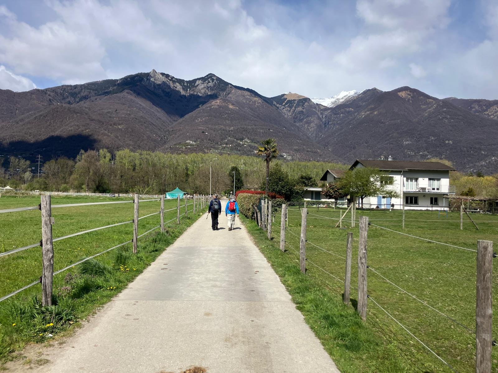 WhatsApp Image 2026-04-07 at 17.49.57 (2).jpeg