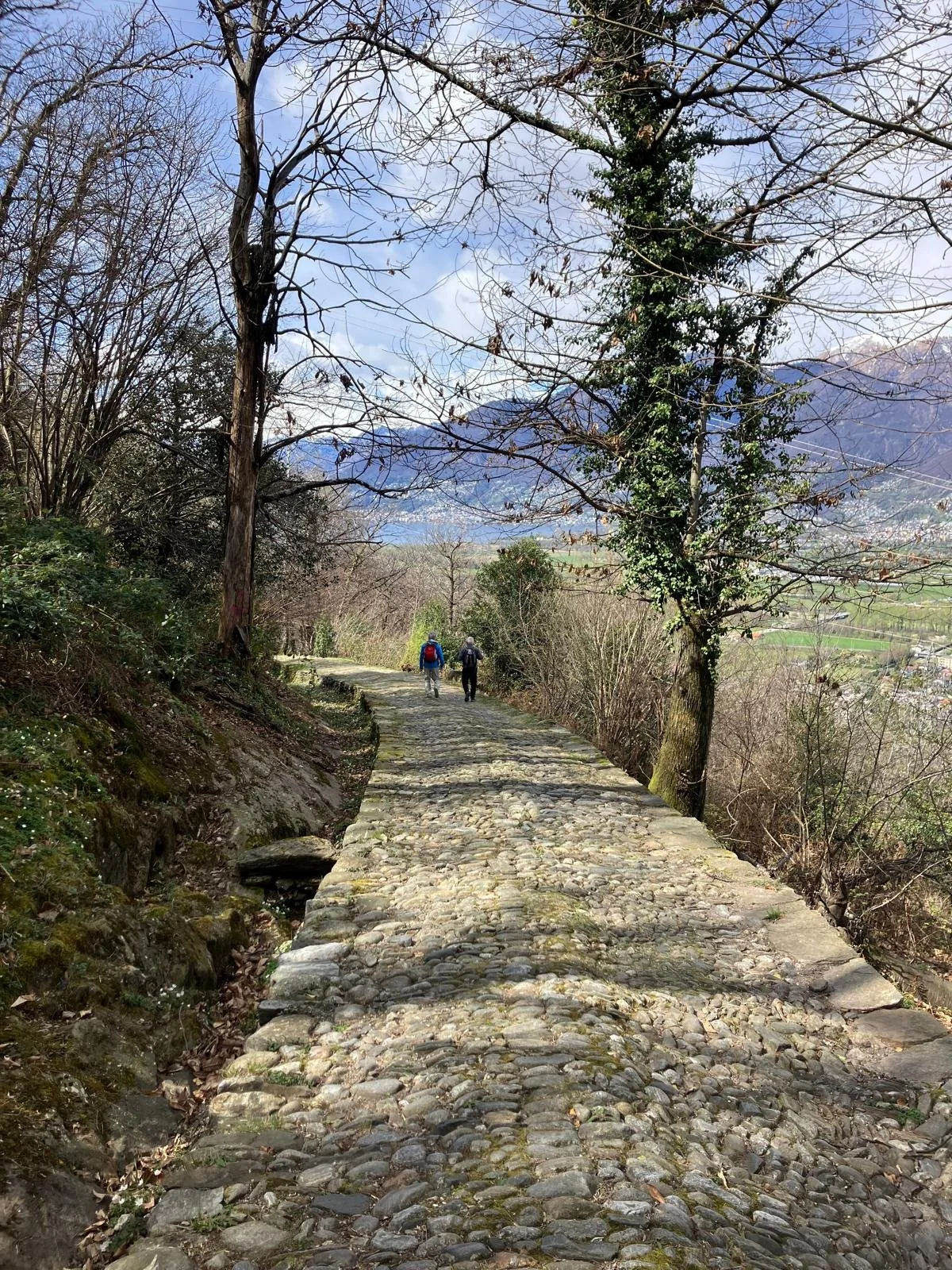 WhatsApp Image 2026-04-07 at 17.47.57 (3).jpeg