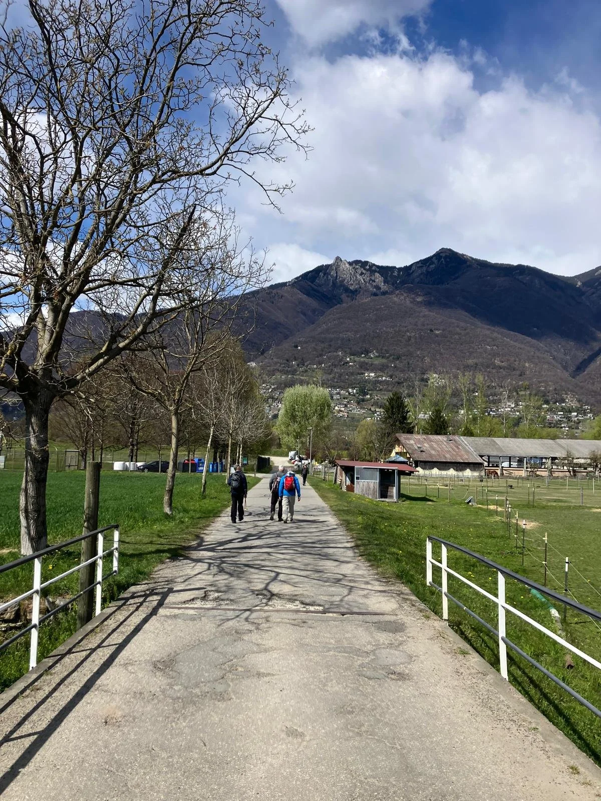 WhatsApp Image 2026-04-07 at 17.49.58 (1).jpeg