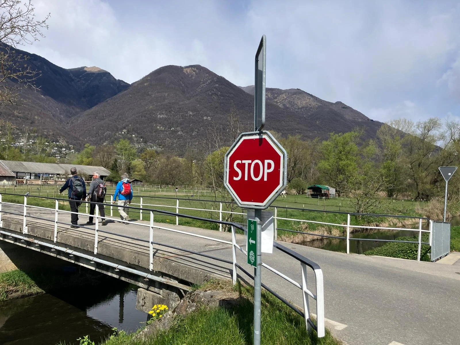 WhatsApp Image 2026-04-07 at 17.49.58.jpeg