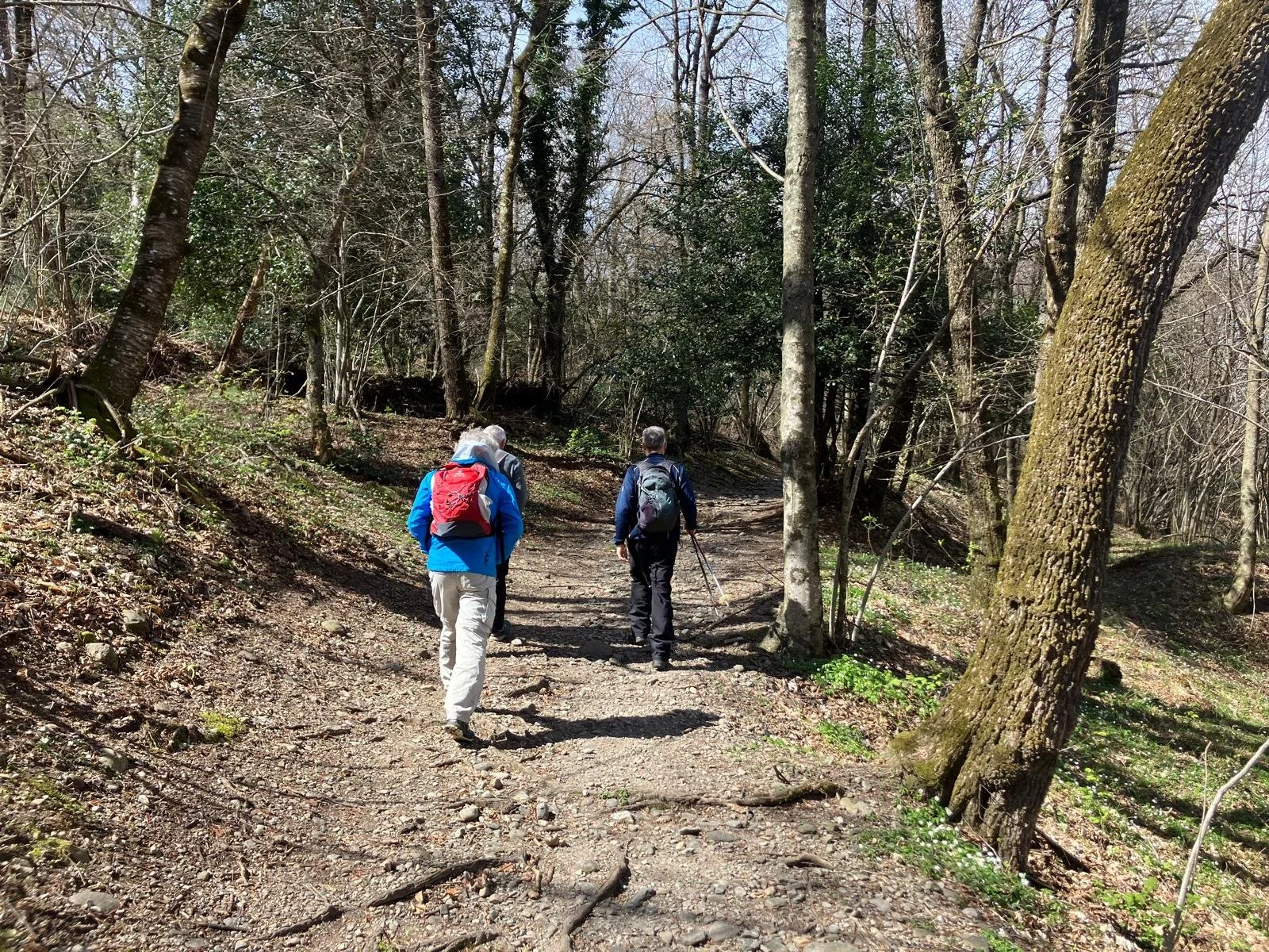 WhatsApp Image 2026-04-07 at 17.47.57.jpeg