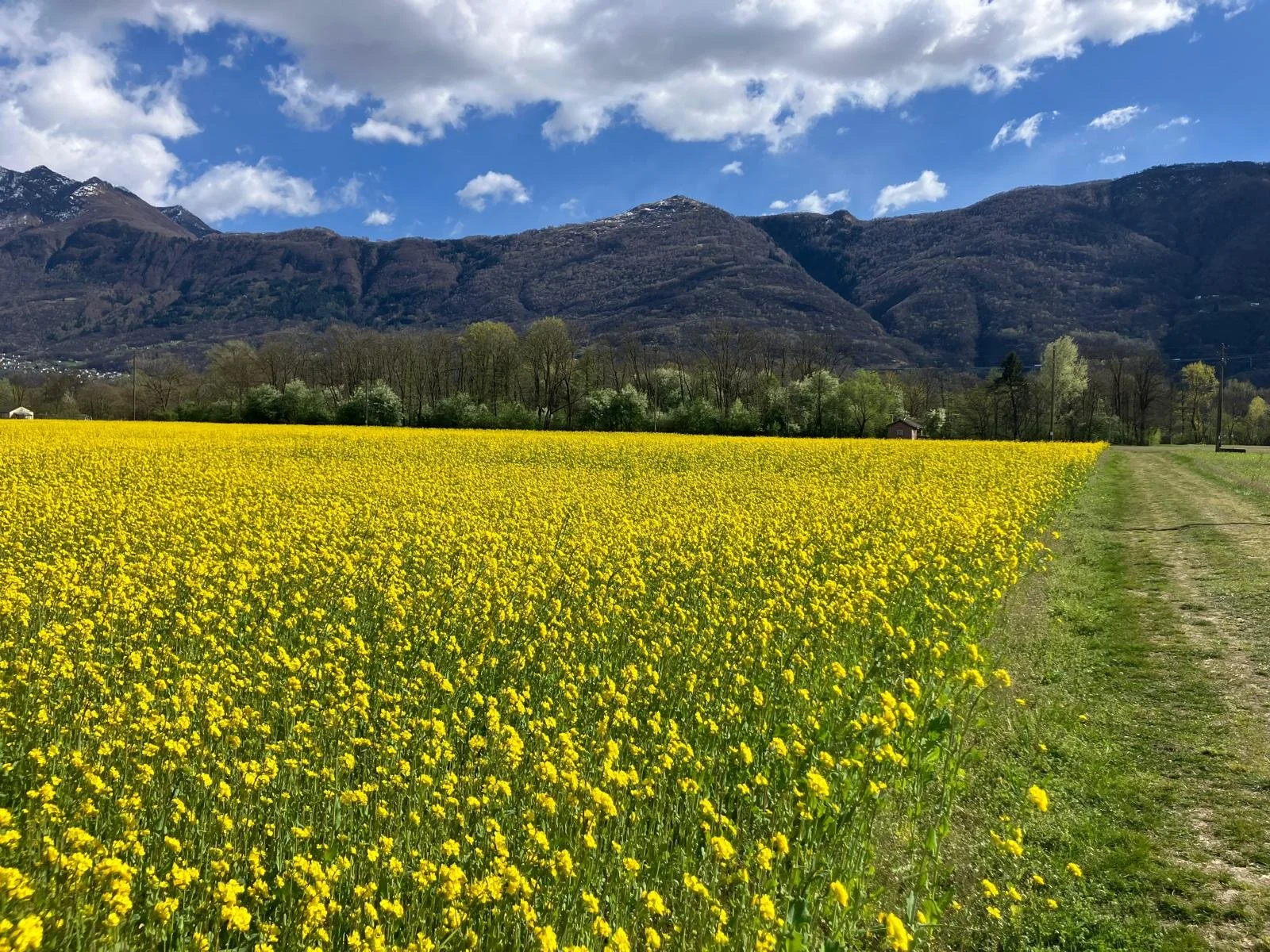 WhatsApp Image 2026-04-07 at 17.59.29 (3).jpeg