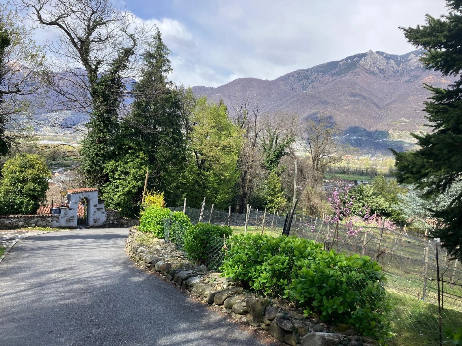 WhatsApp Image 2026-04-07 at 17.47.57 (4).jpeg