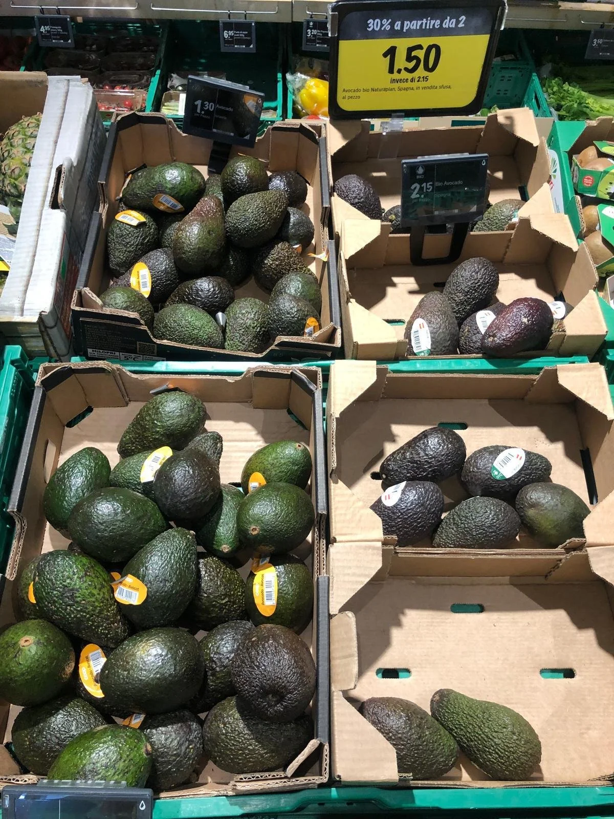 Avocadi - COOP
