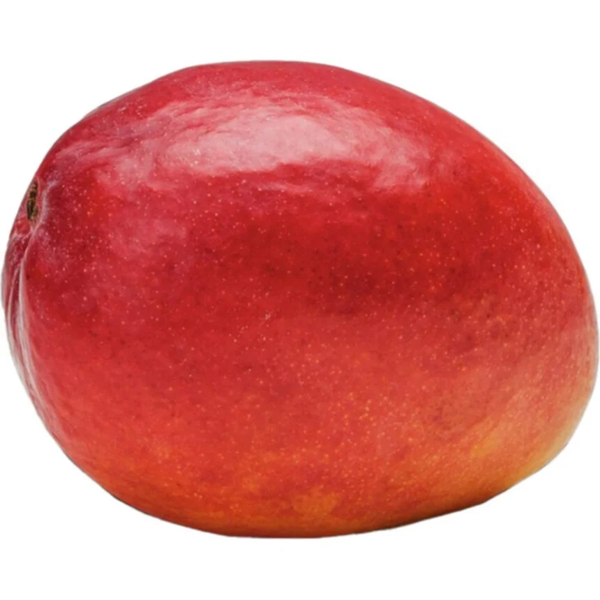Mango Primagusto - COOP