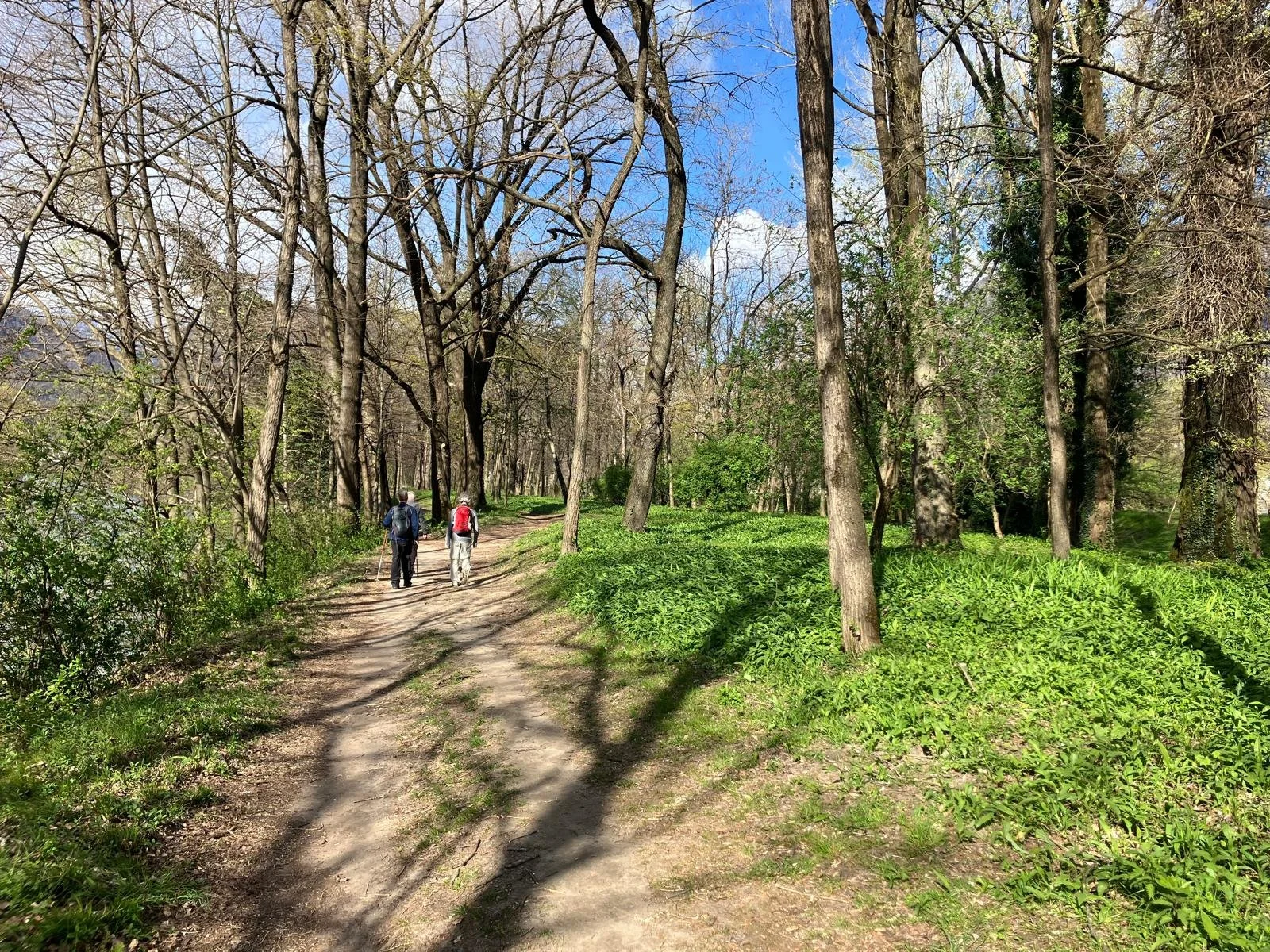 WhatsApp Image 2026-04-07 at 17.59.30.jpeg