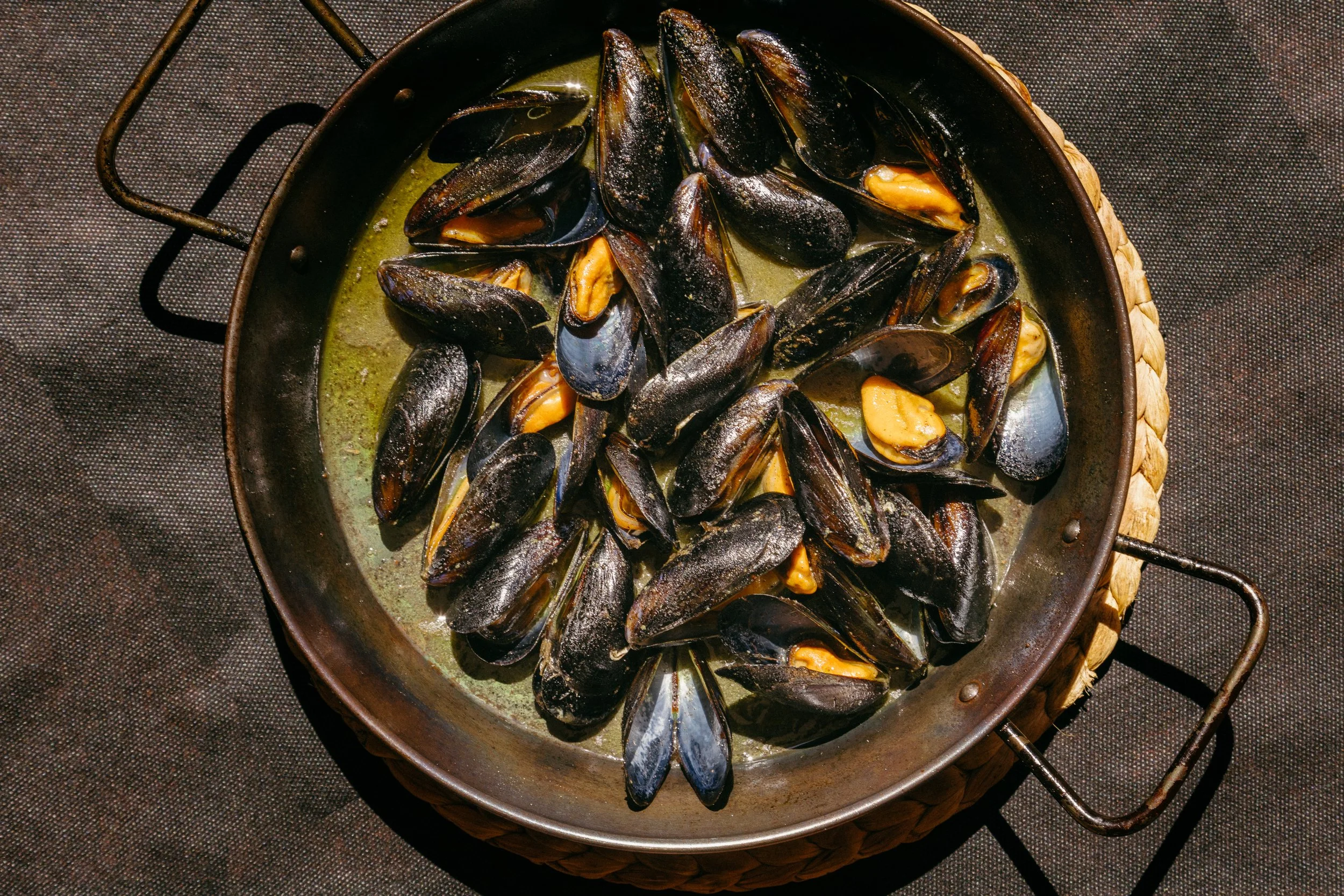 ILLENC_024.jpg