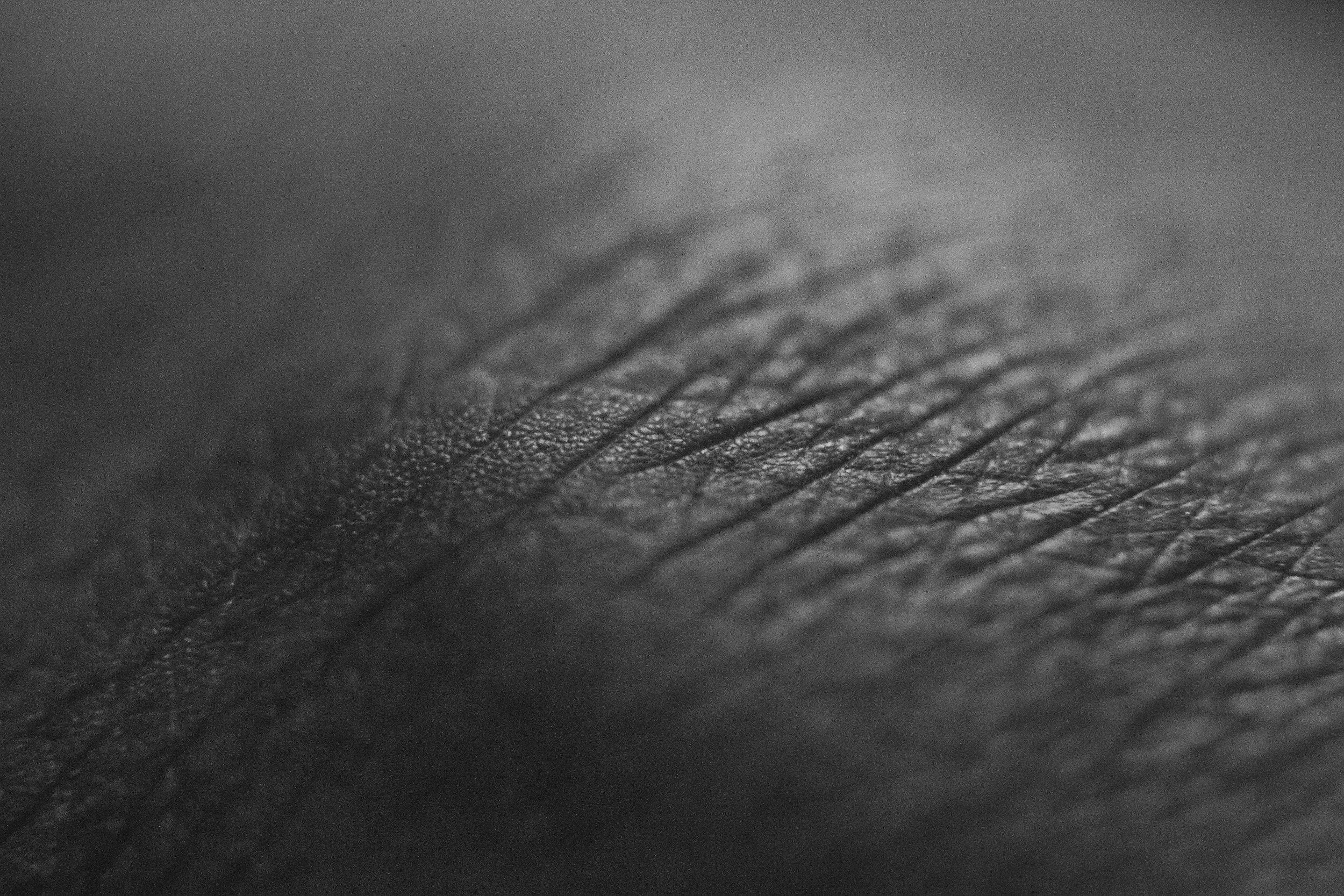 Close-up of textured, dark-colored leather surface with visible grain and stitching.