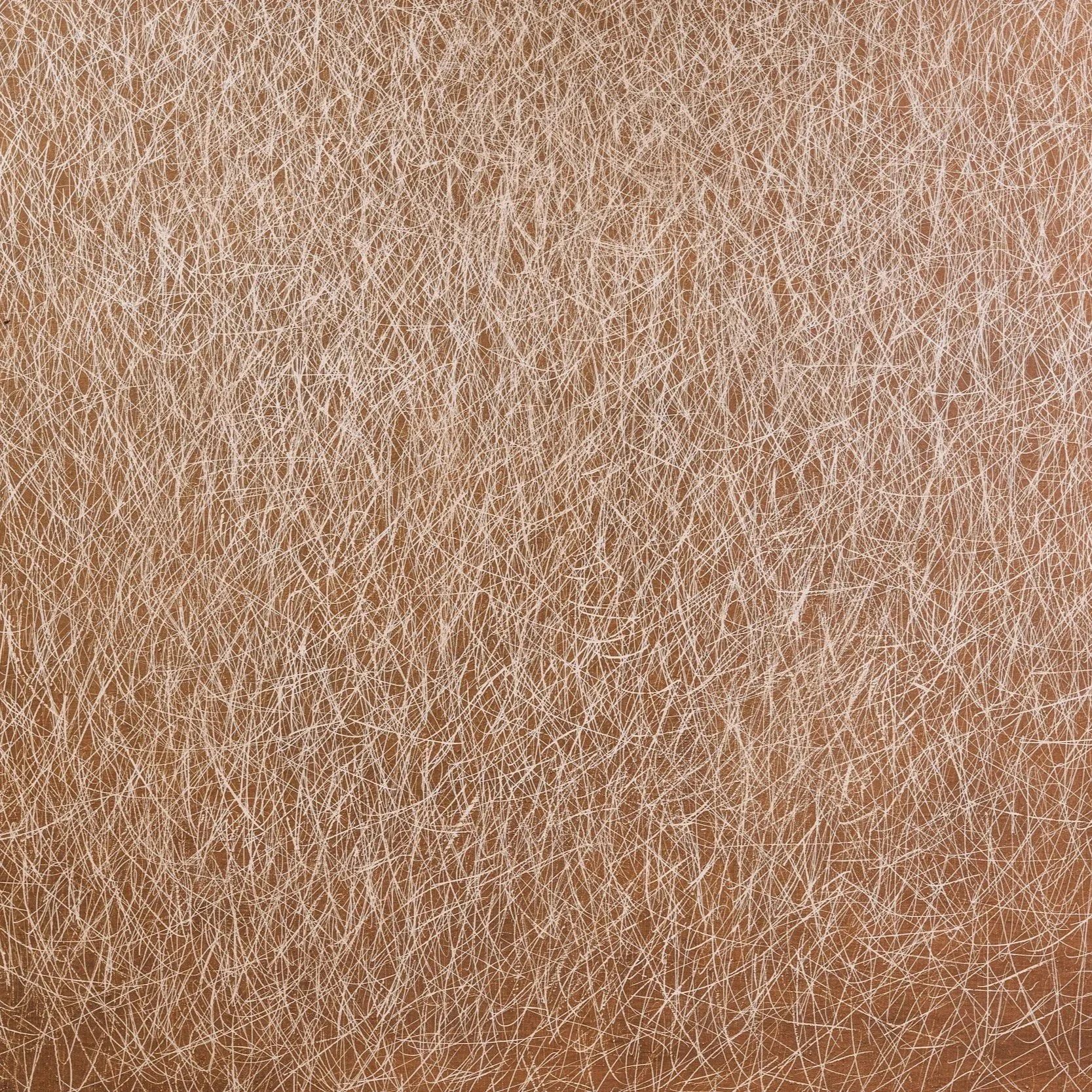 Close-up of a textured surface with numerous intersecting fine white lines on a beige background.