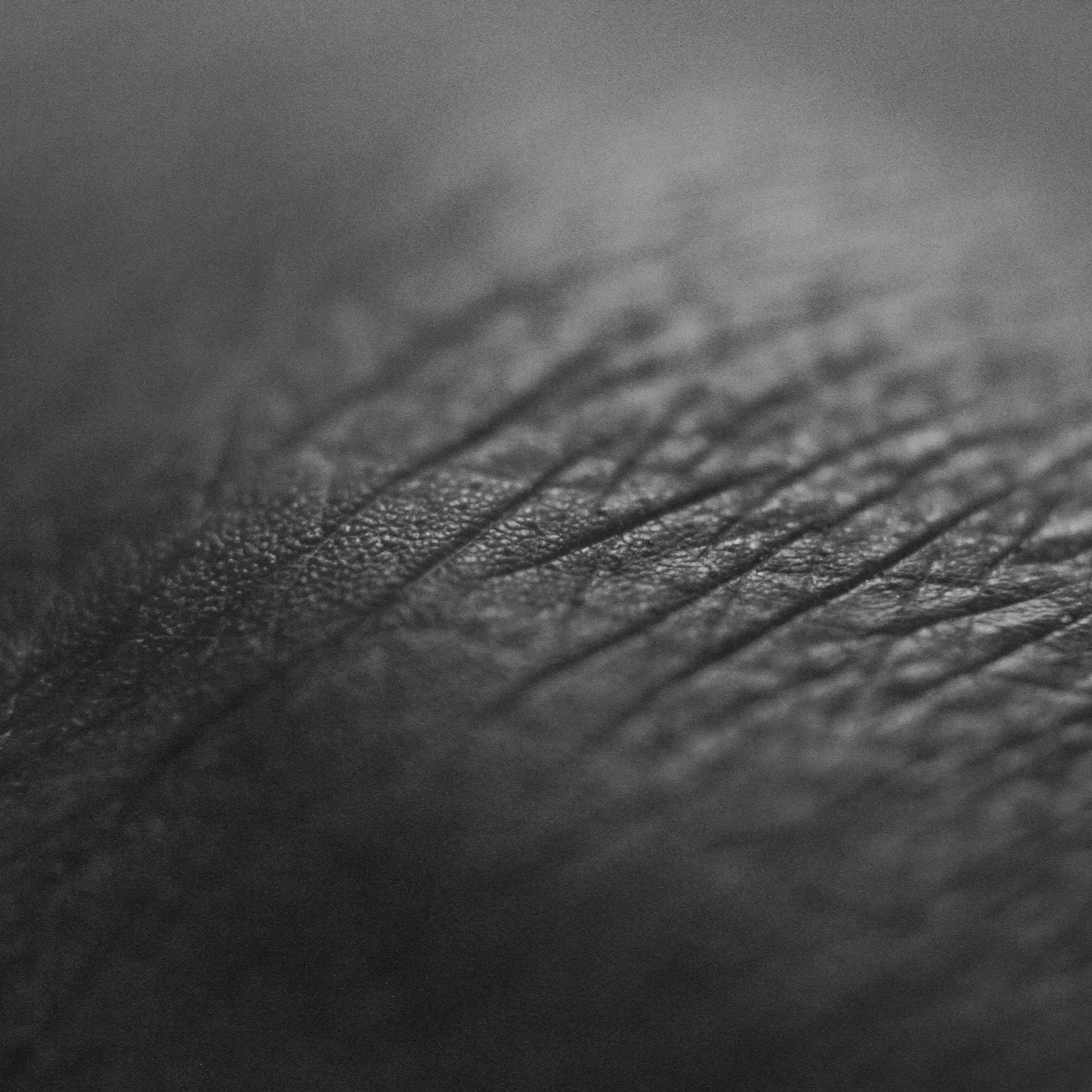 Close-up of textured black leather surface with fine grain pattern.
