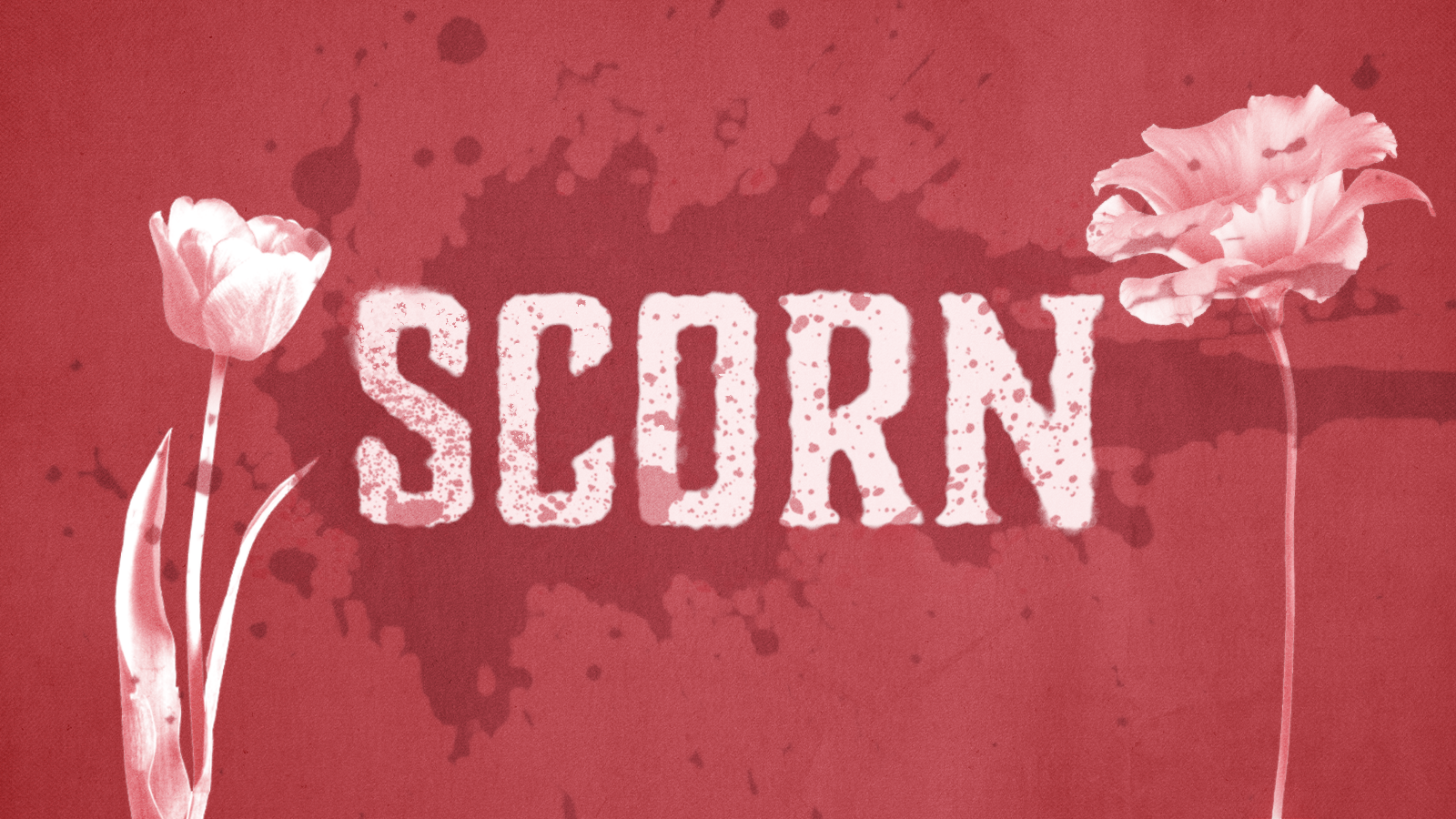 Scorn