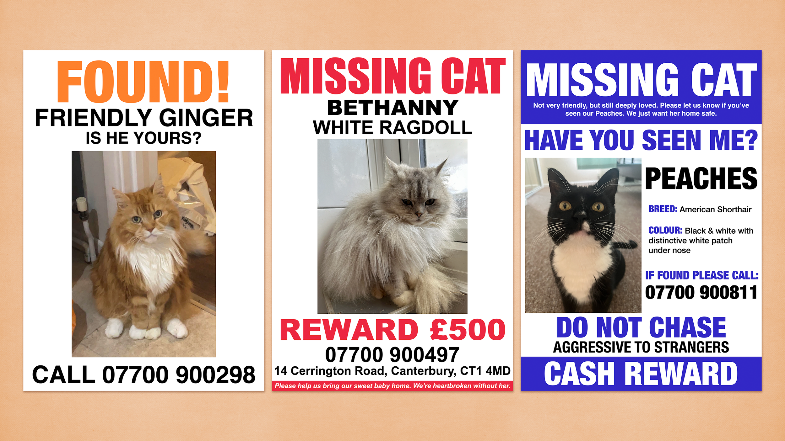 Posters 2.png