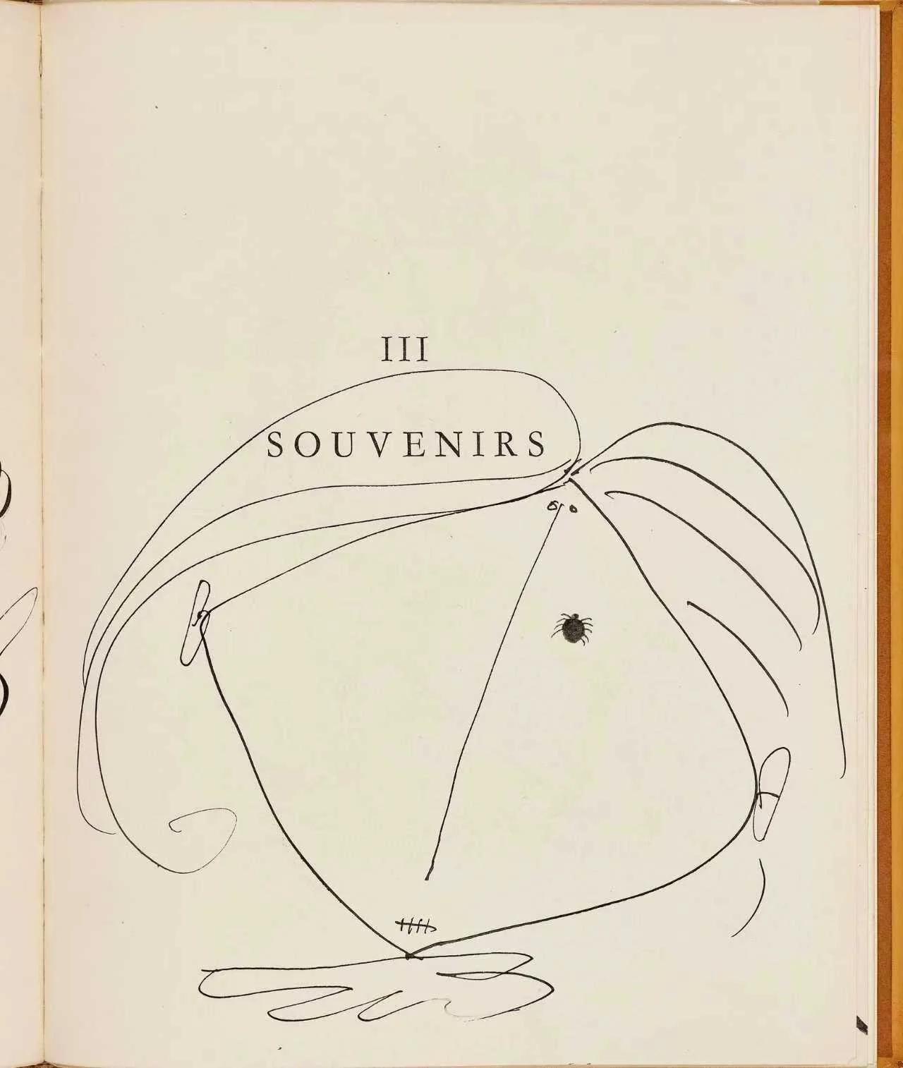 A hand-drawn sketch of a peach with the word "SOUVENIRS" written inside it, and a small ladybug on the peach. There are curved lines around the peach, possibly representing leaves or motion.