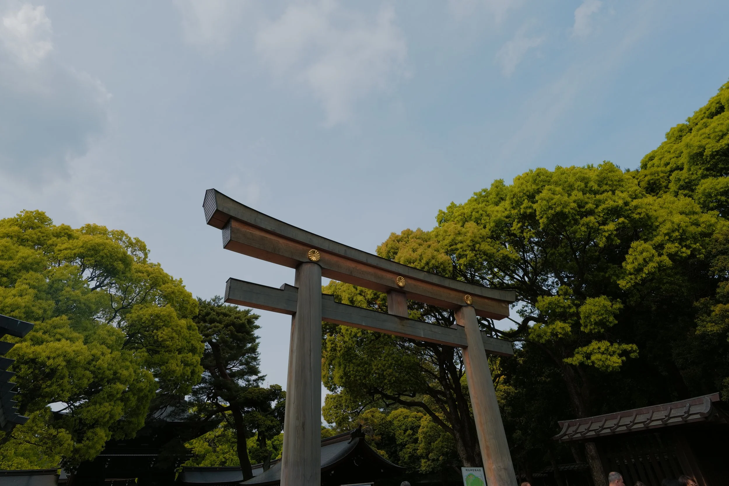P1011325.jpeg