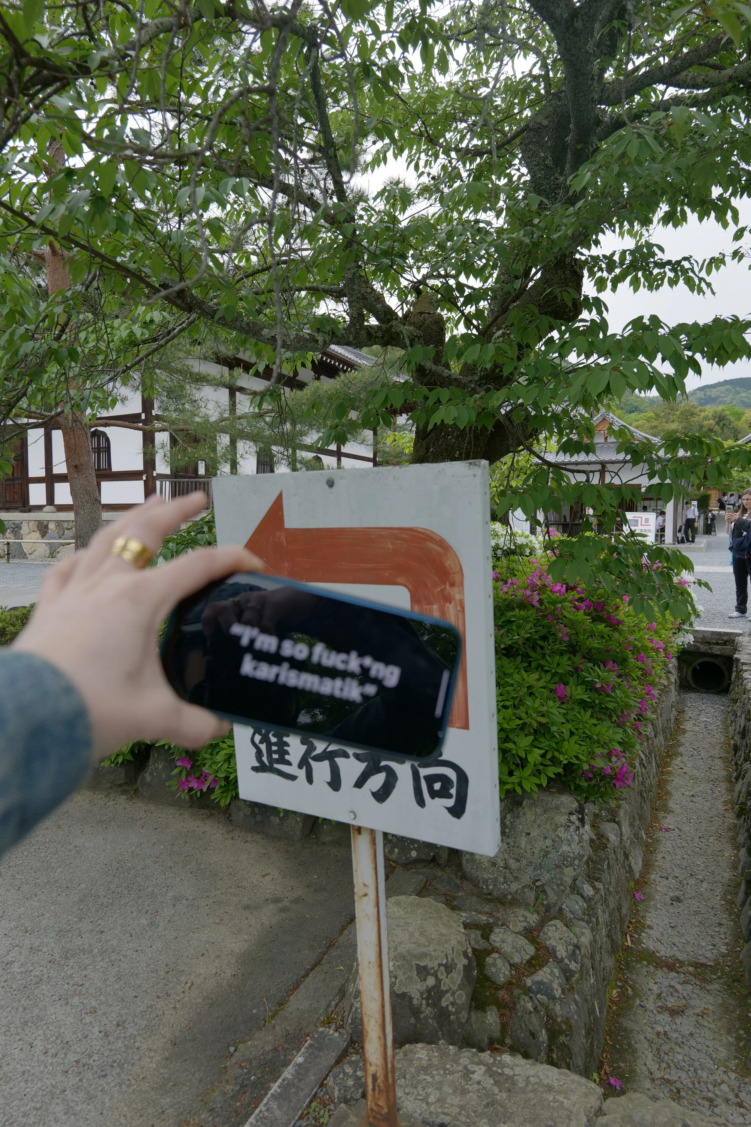 P1000940.jpeg