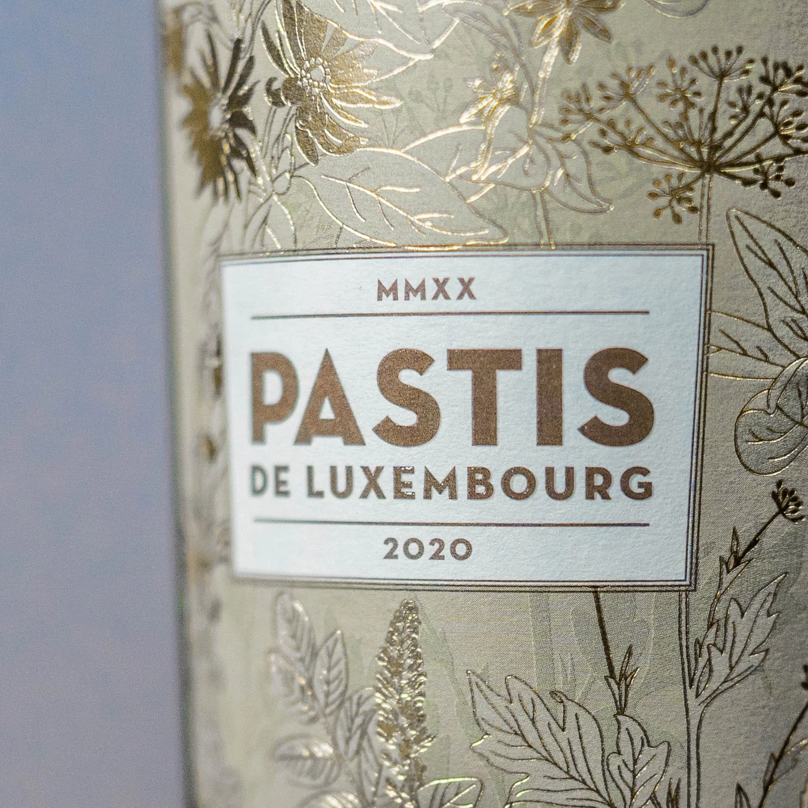 Pastis Close Up 1.jpg