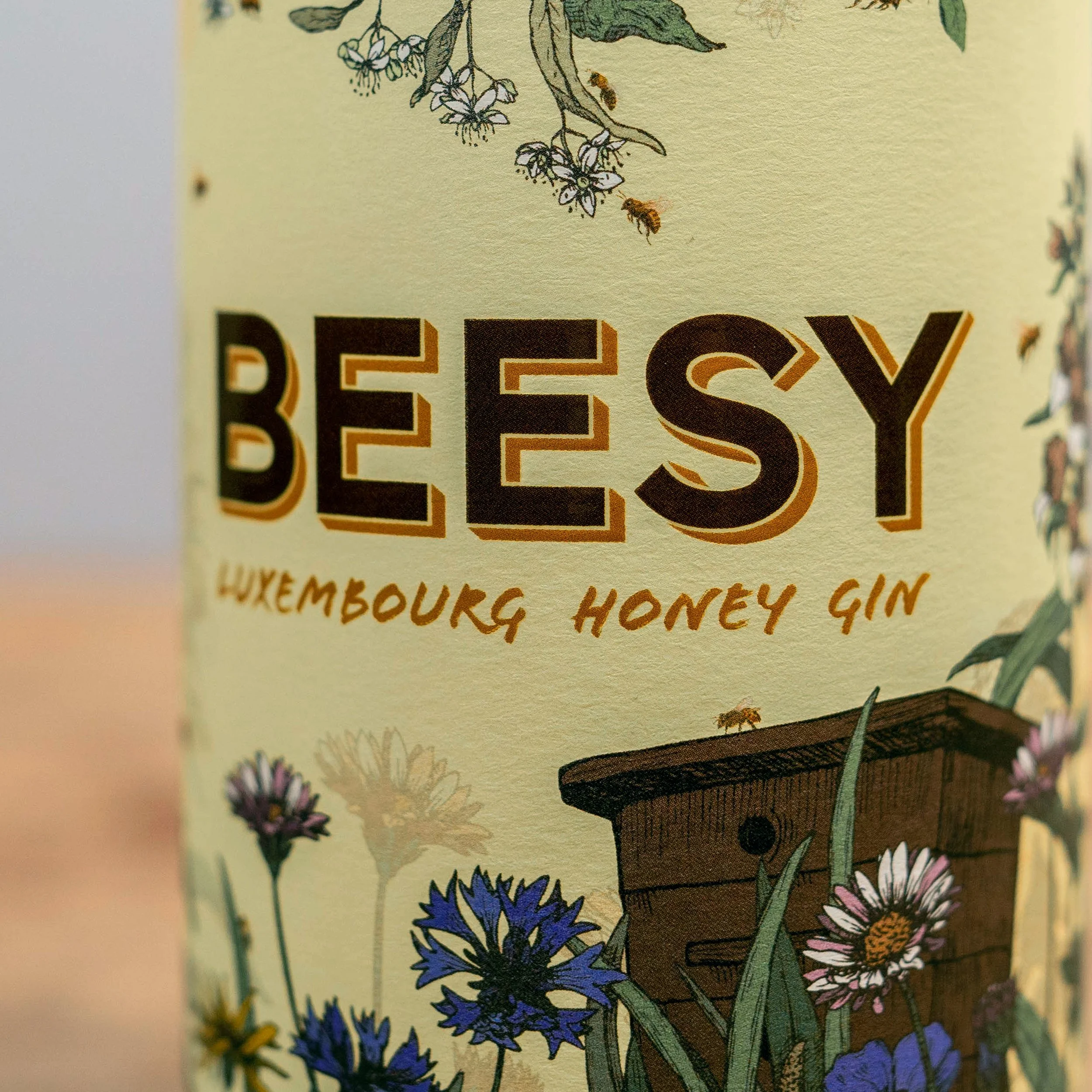 Beesy Close Up 1.jpg