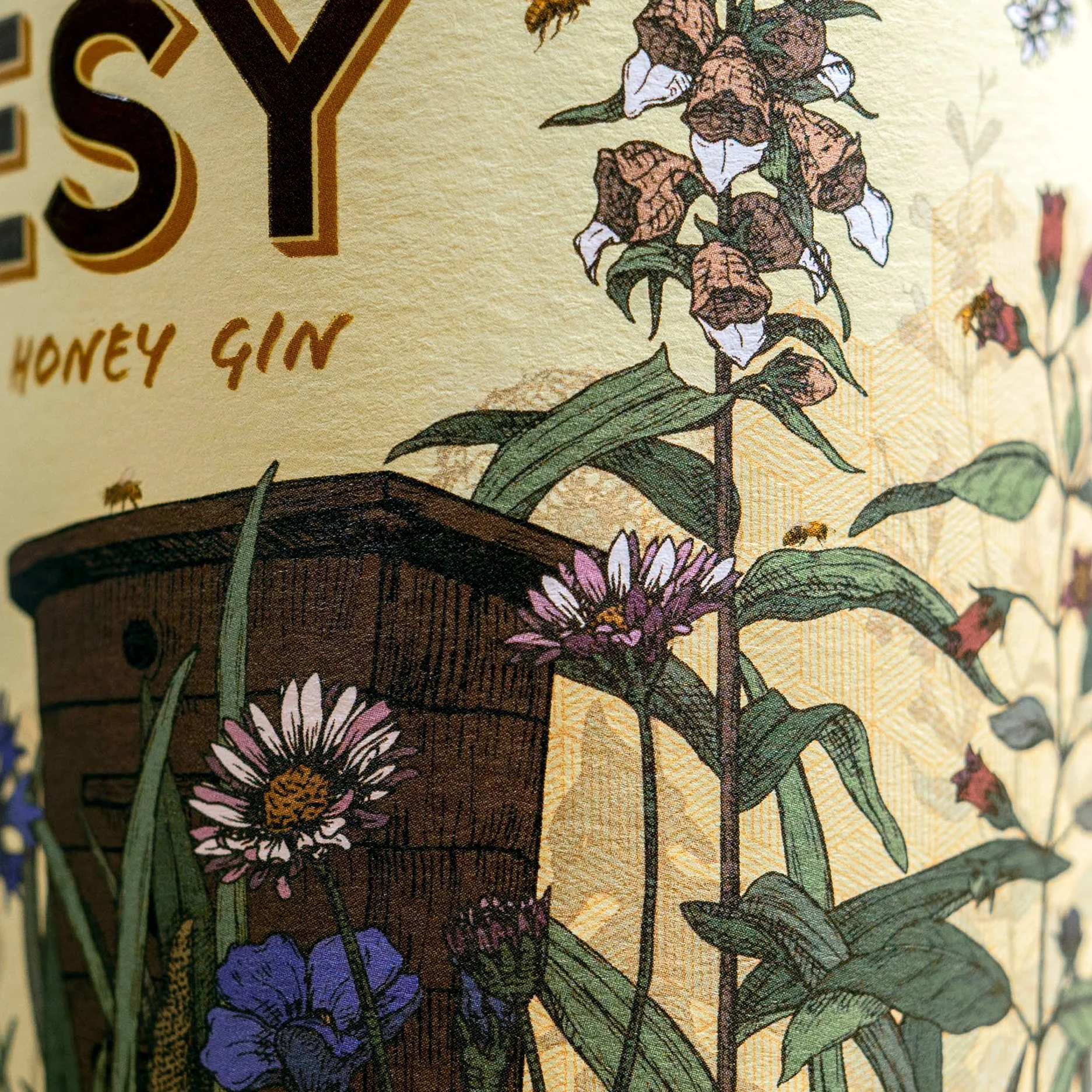 Beesy Close Up 4.jpg