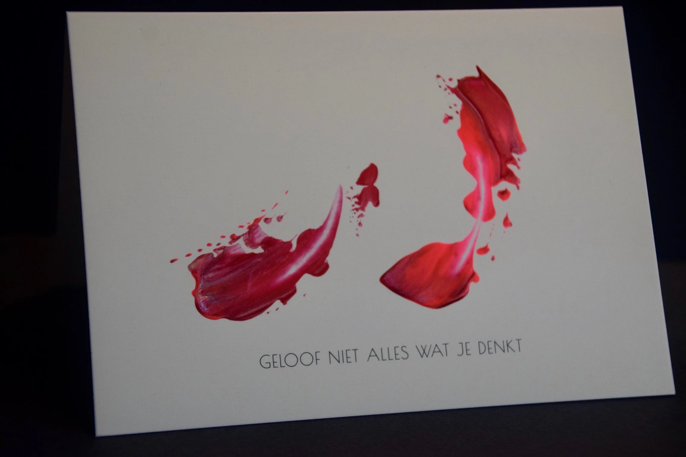 Geloof niet alles wat je denkt