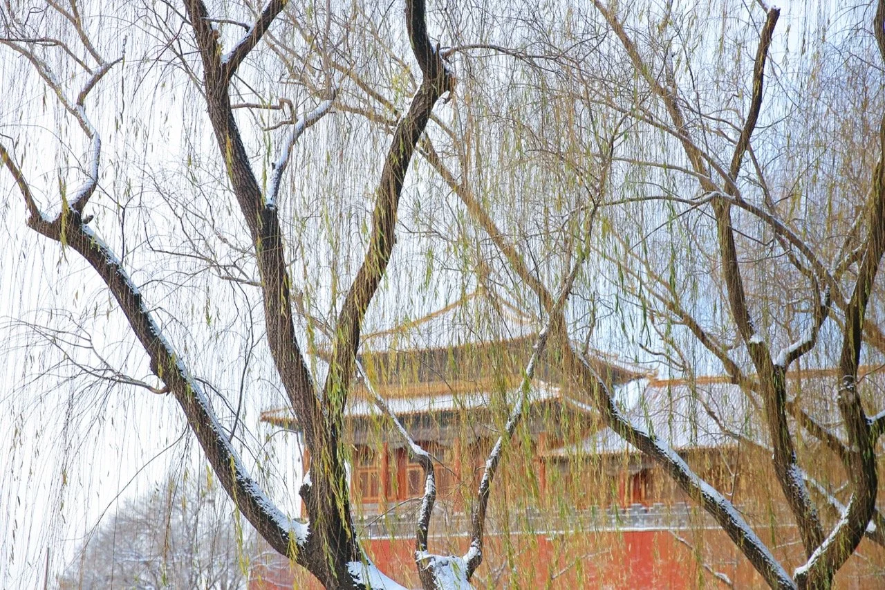 IMG_4288大.jpeg