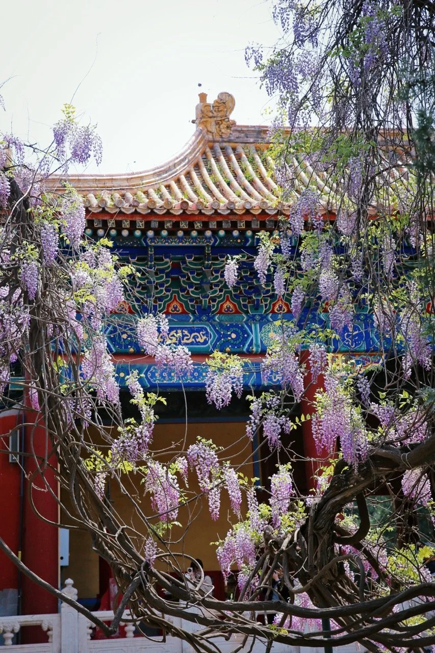 IMG_4384大.jpeg