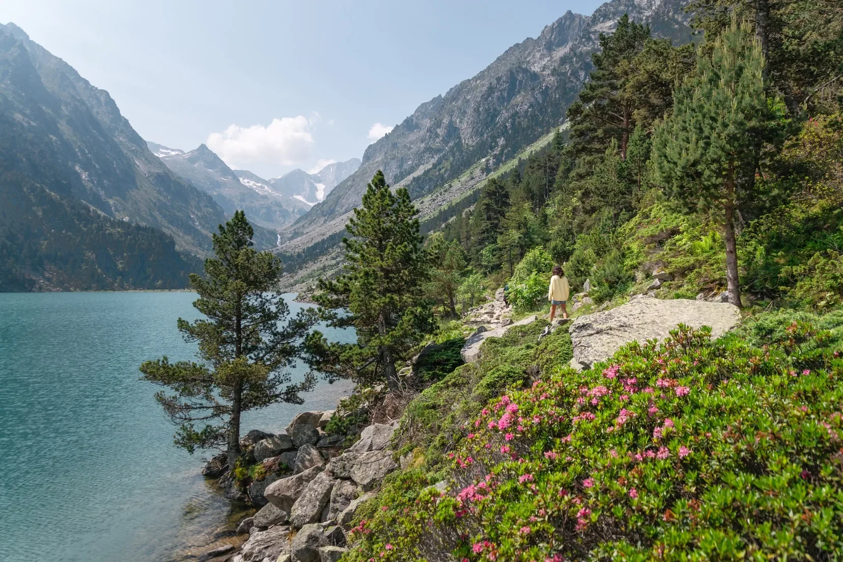 Paysage de montagne avec un lac, des arbres, des fleurs, et une personne marchant sur le sentier.